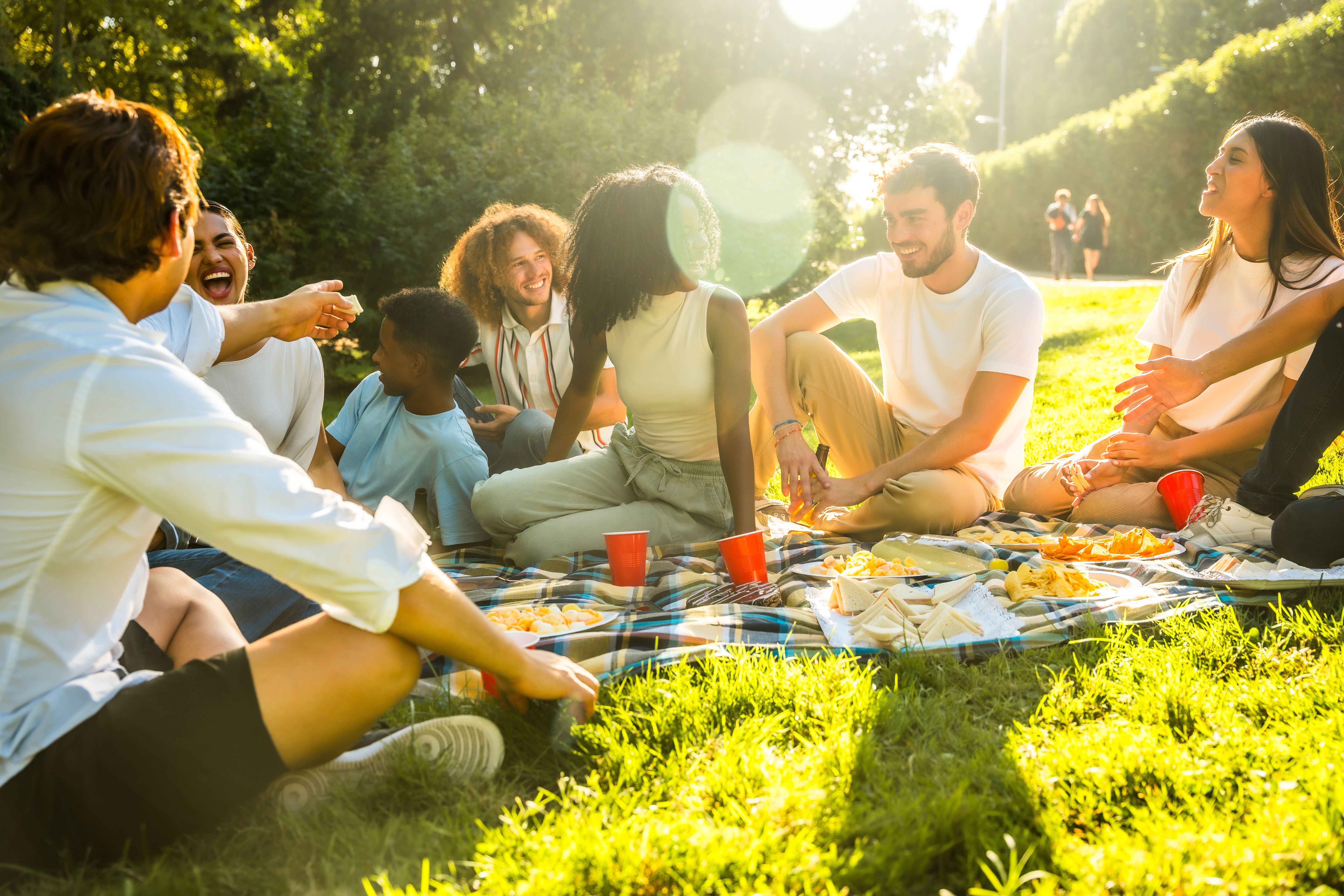 summer park gathering