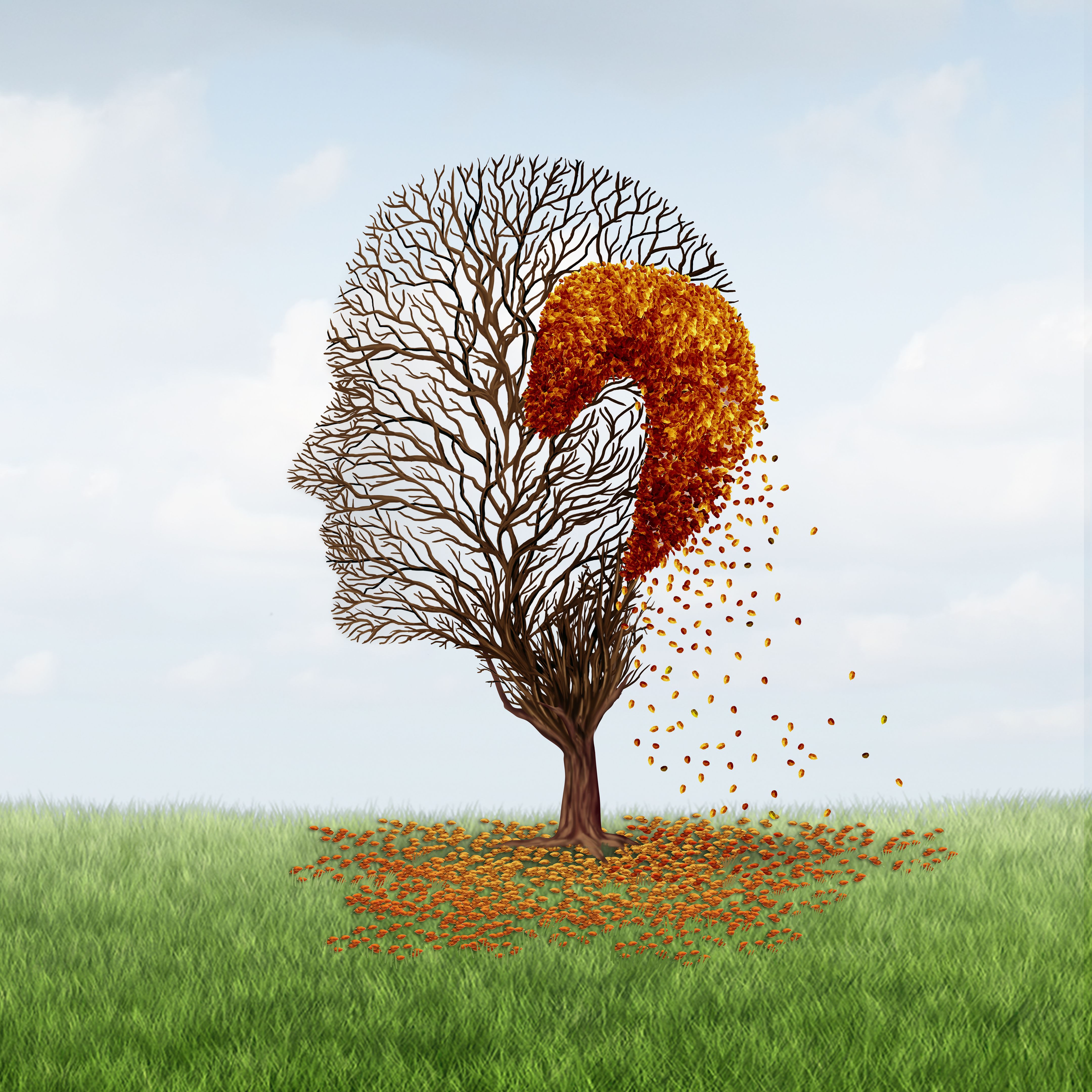 hair transplant surgery