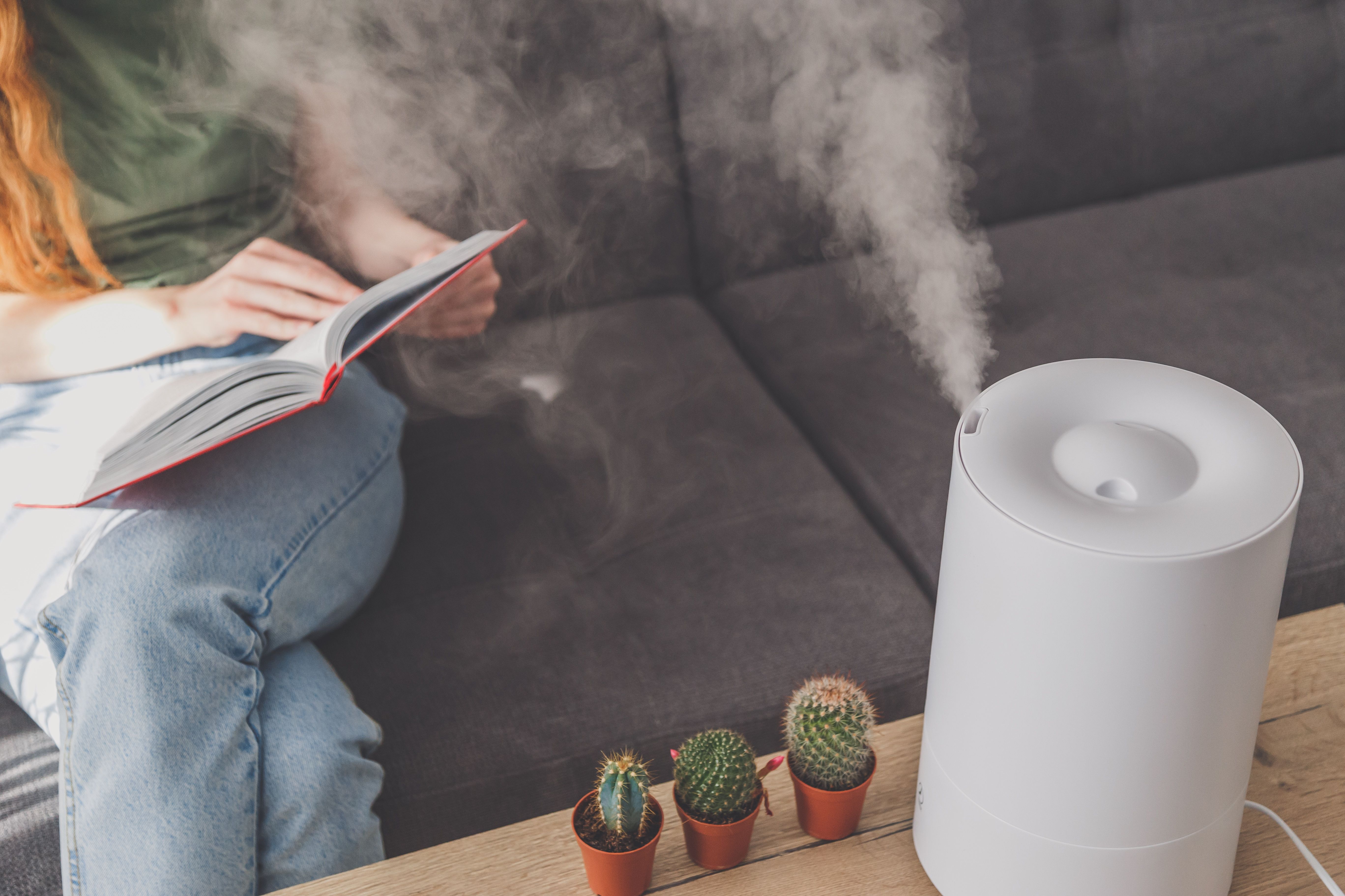 humidifier laptop