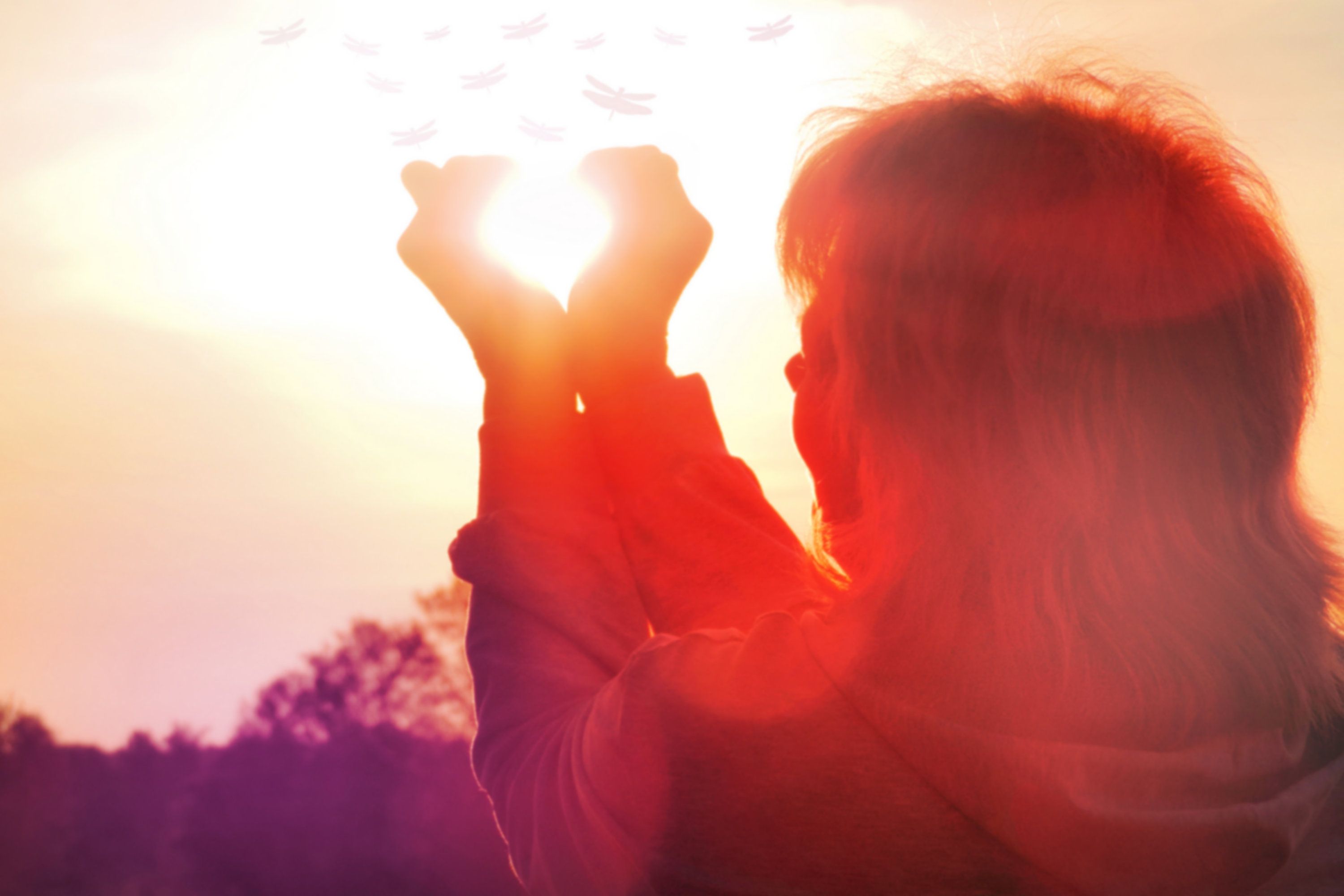 Happy woman and hands forming a heart shape with sunset blurred light, senior woman silhouette. Flying dragonfly, butterfly. Positive emotions, freedom, change concept. Life balance and harmony Happy woman and hands forming a heart shape with sunset blurred light, senior woman silhouette. Flying dragonfly, butterfly. Positive emotions, freedom, change concept. Life balance and harmony
