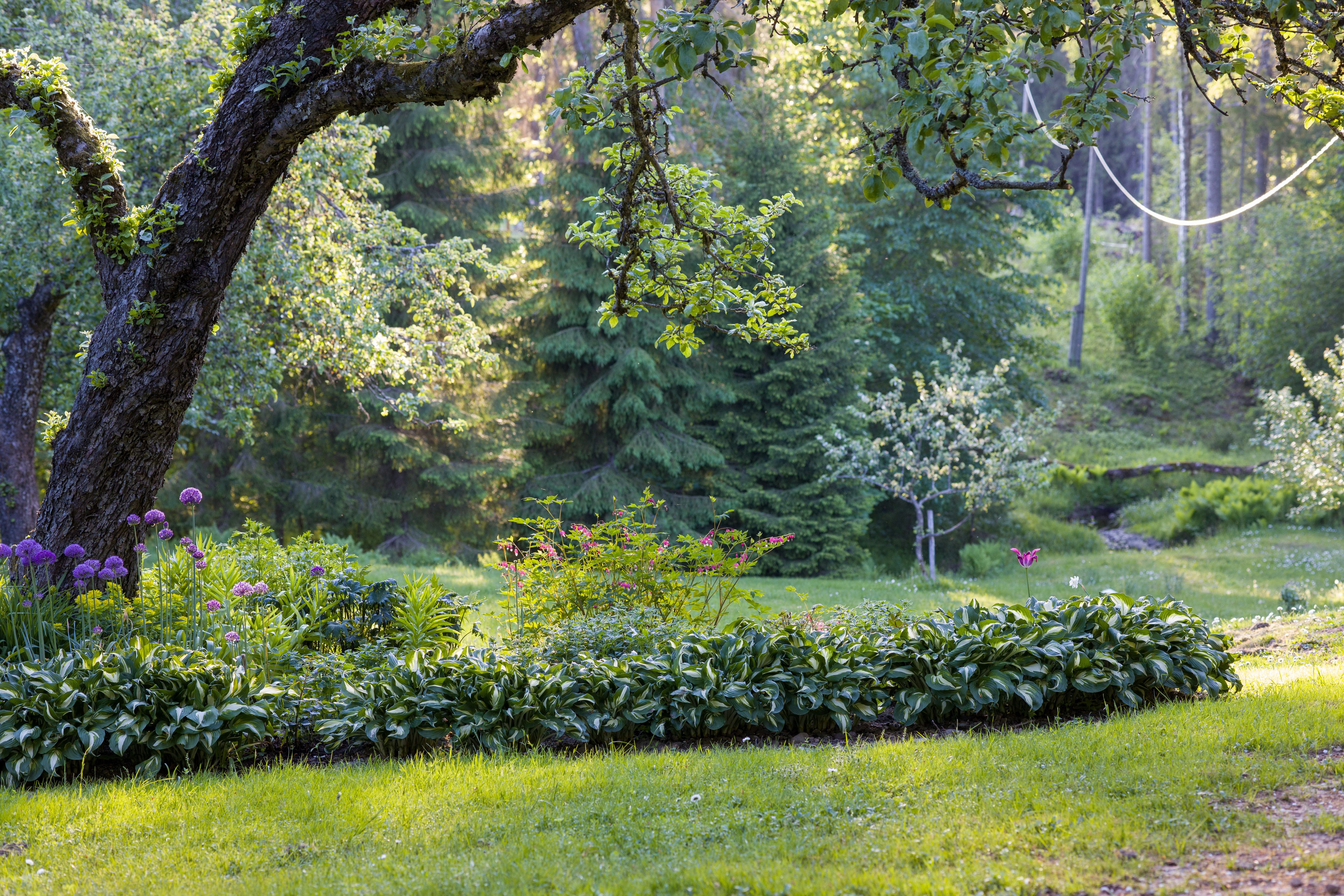 beautiful garden