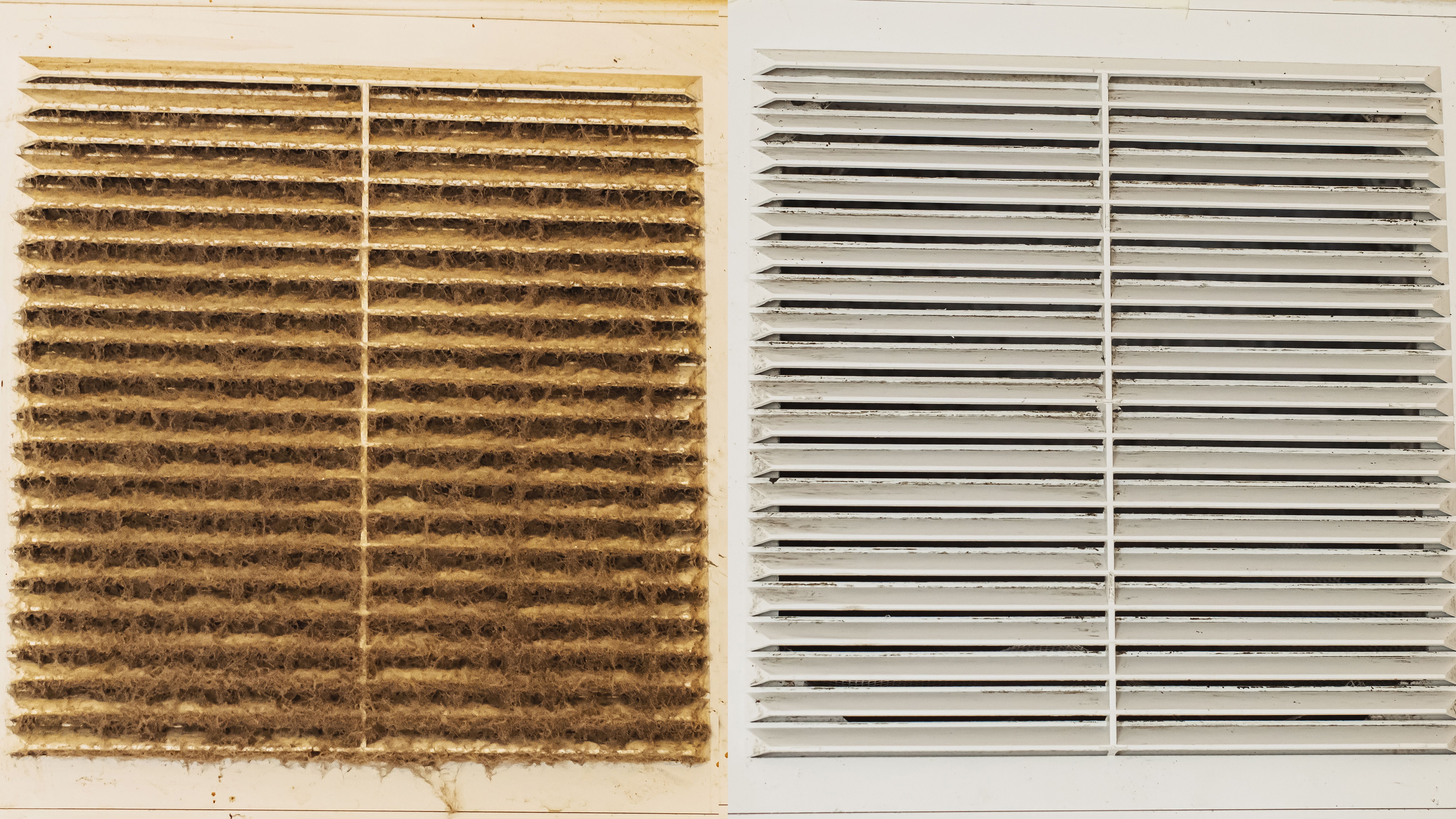 allergy cleaning