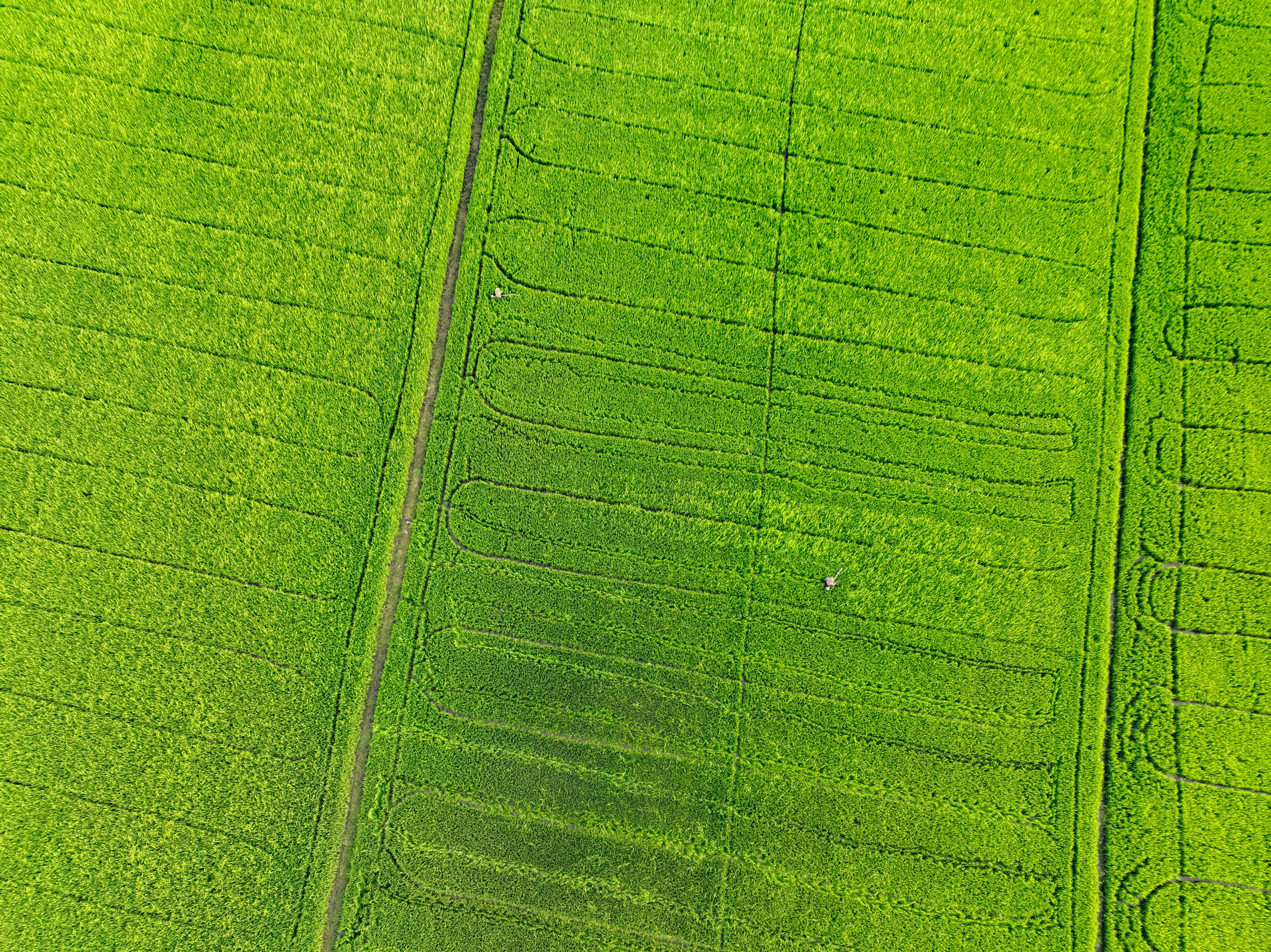 organic farming practices