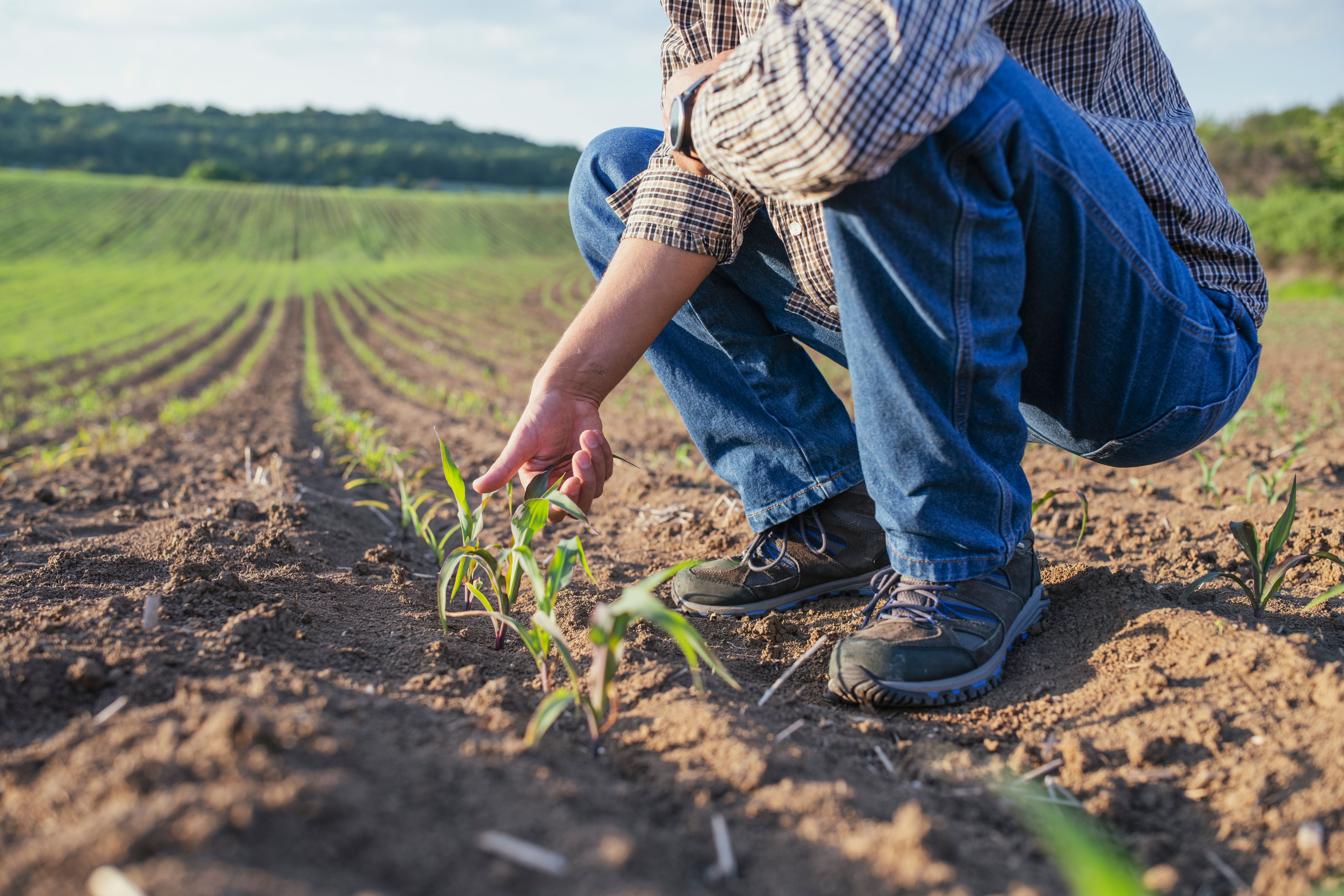 farmer legal documents