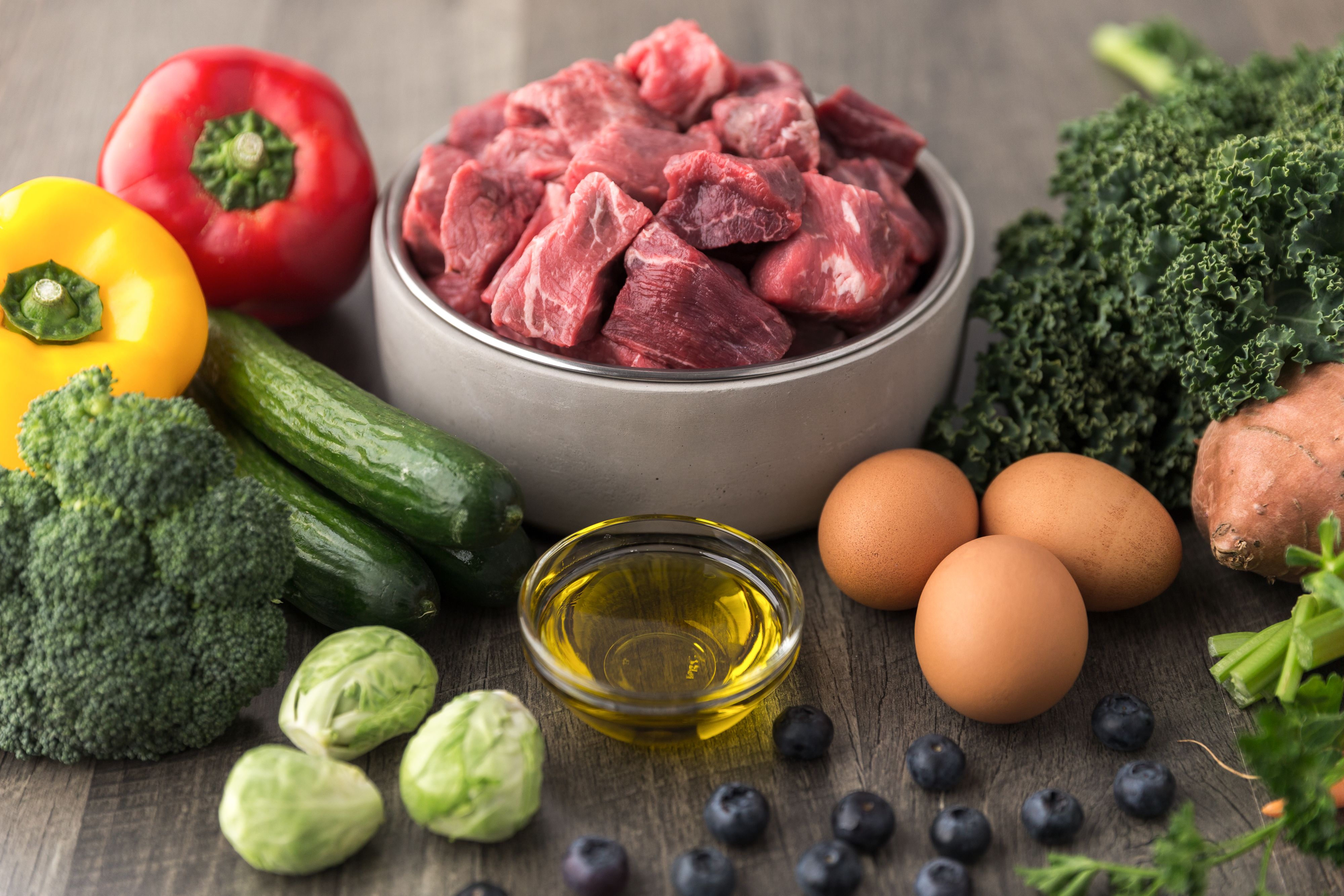 healthy pet food