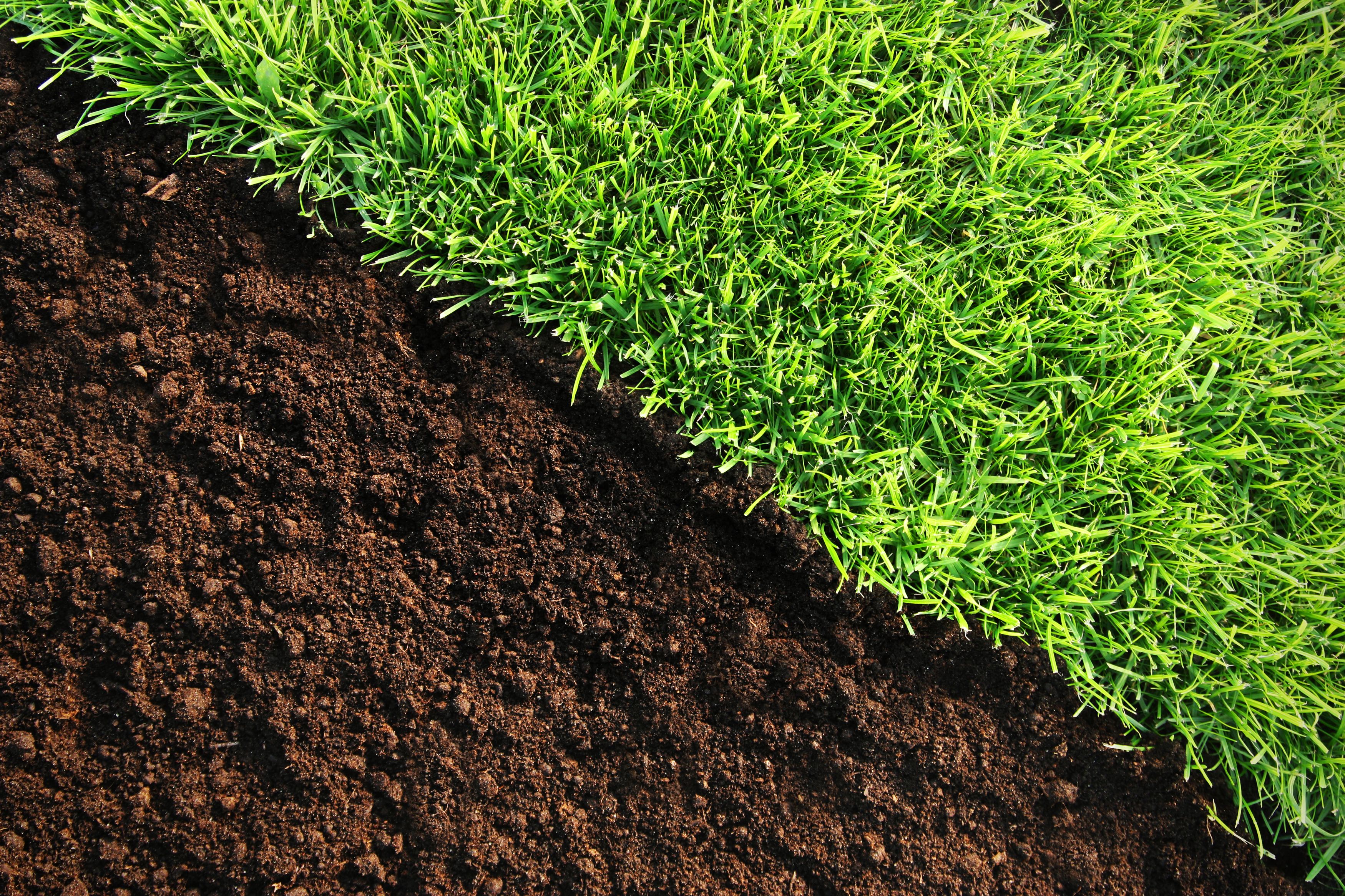 lawn soil care