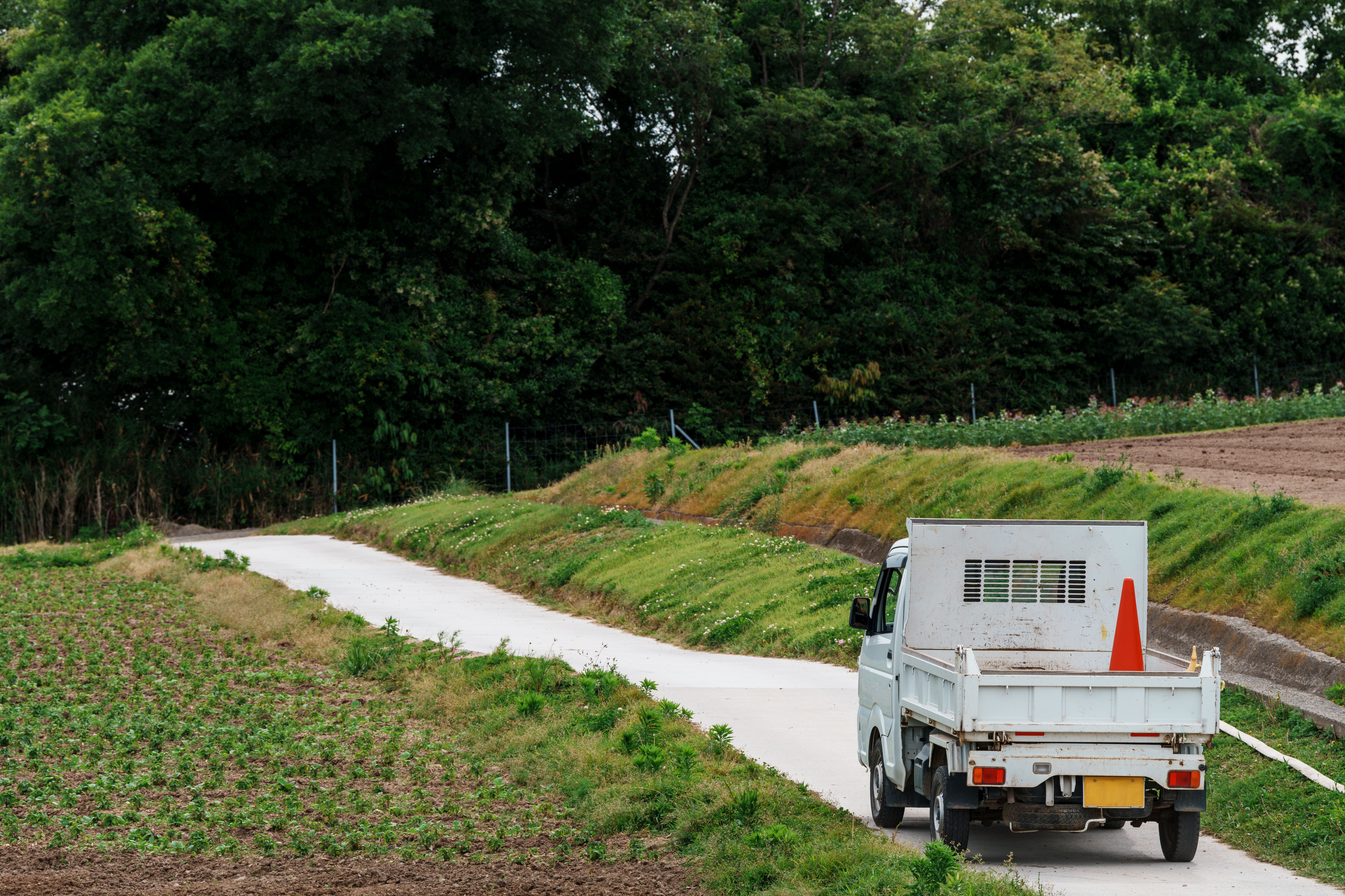 Scenery of a truck running on a rural farm road and a farm