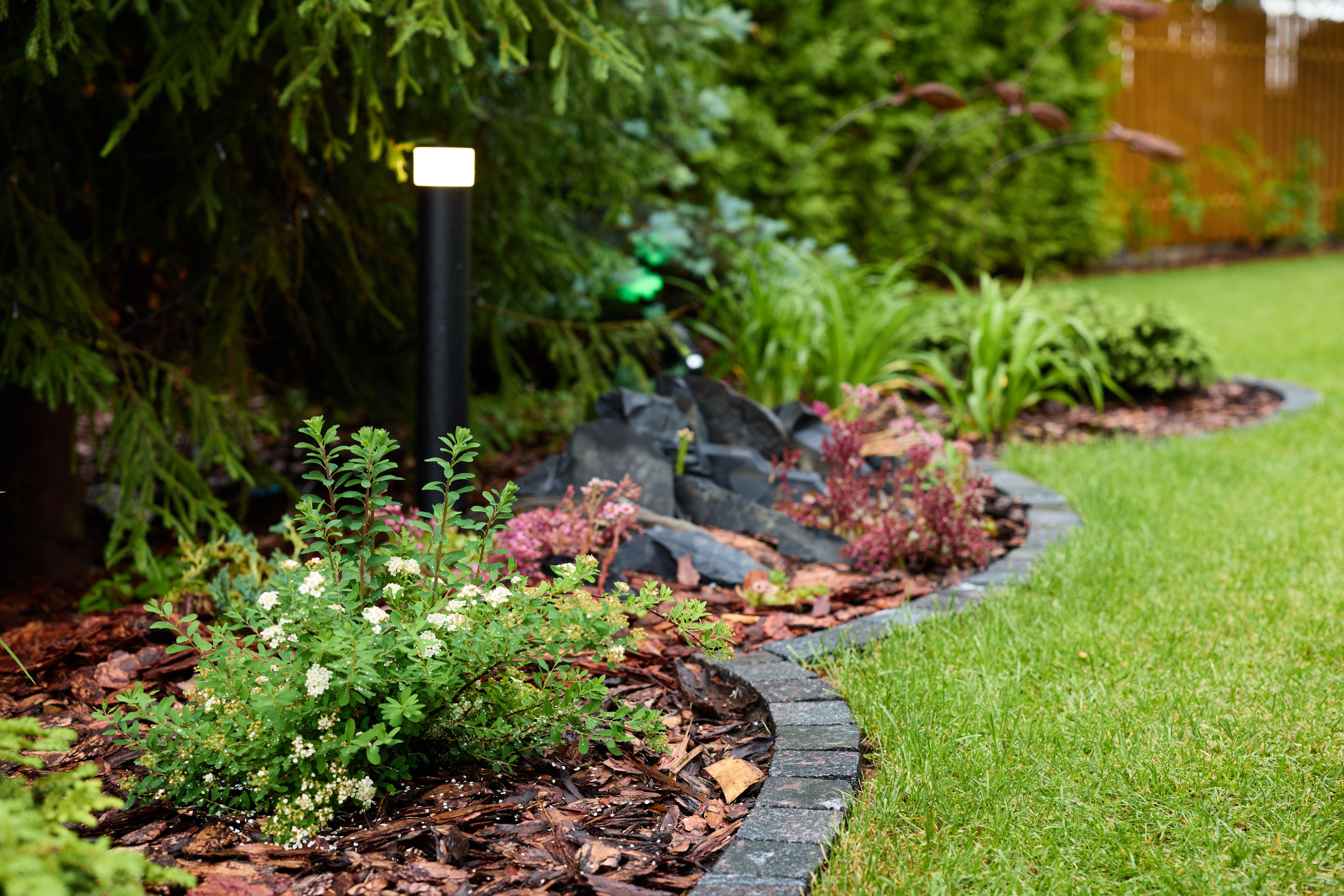 garden maintenance