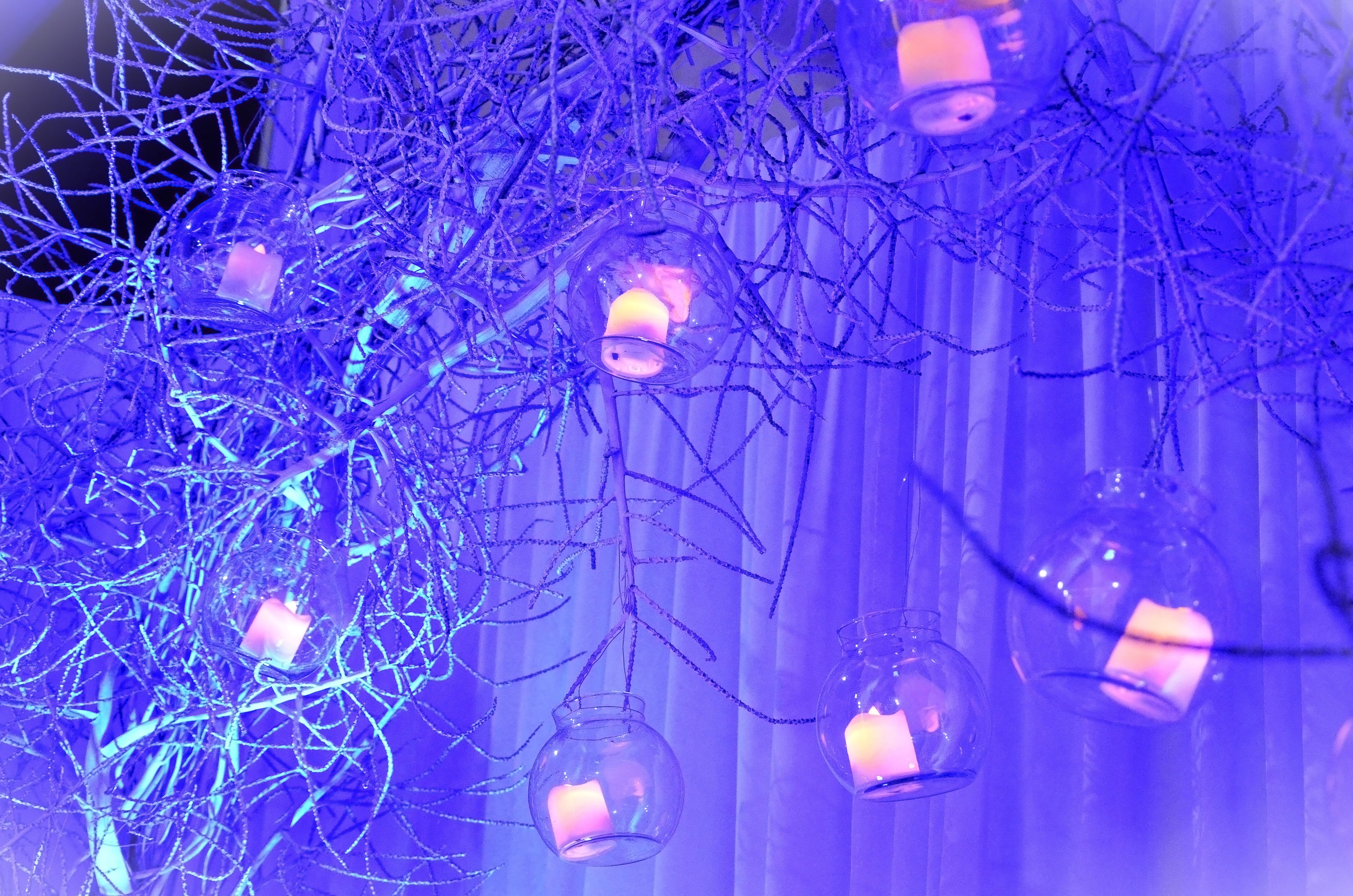 winter wedding lights