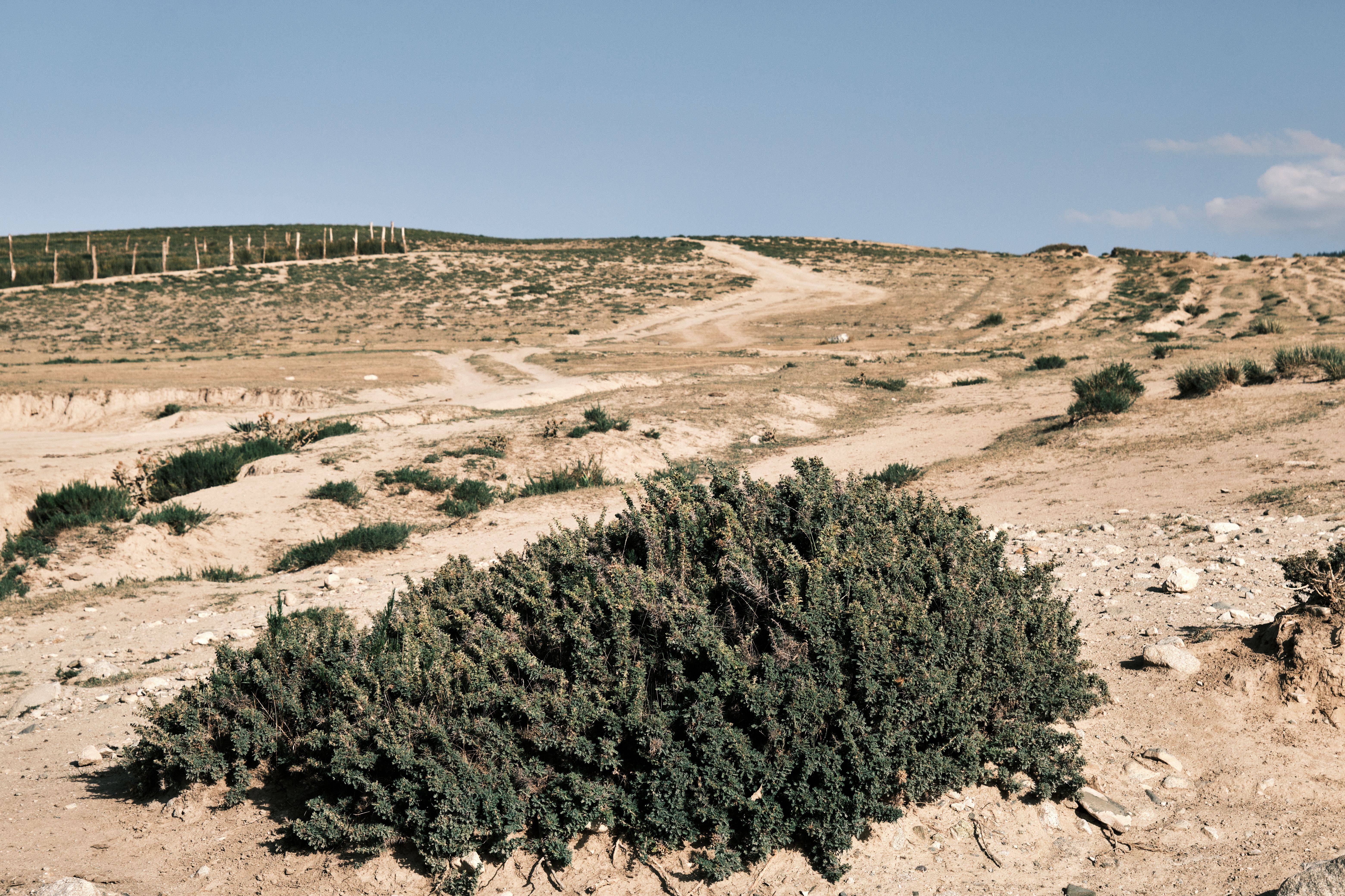 economic growth eufaula