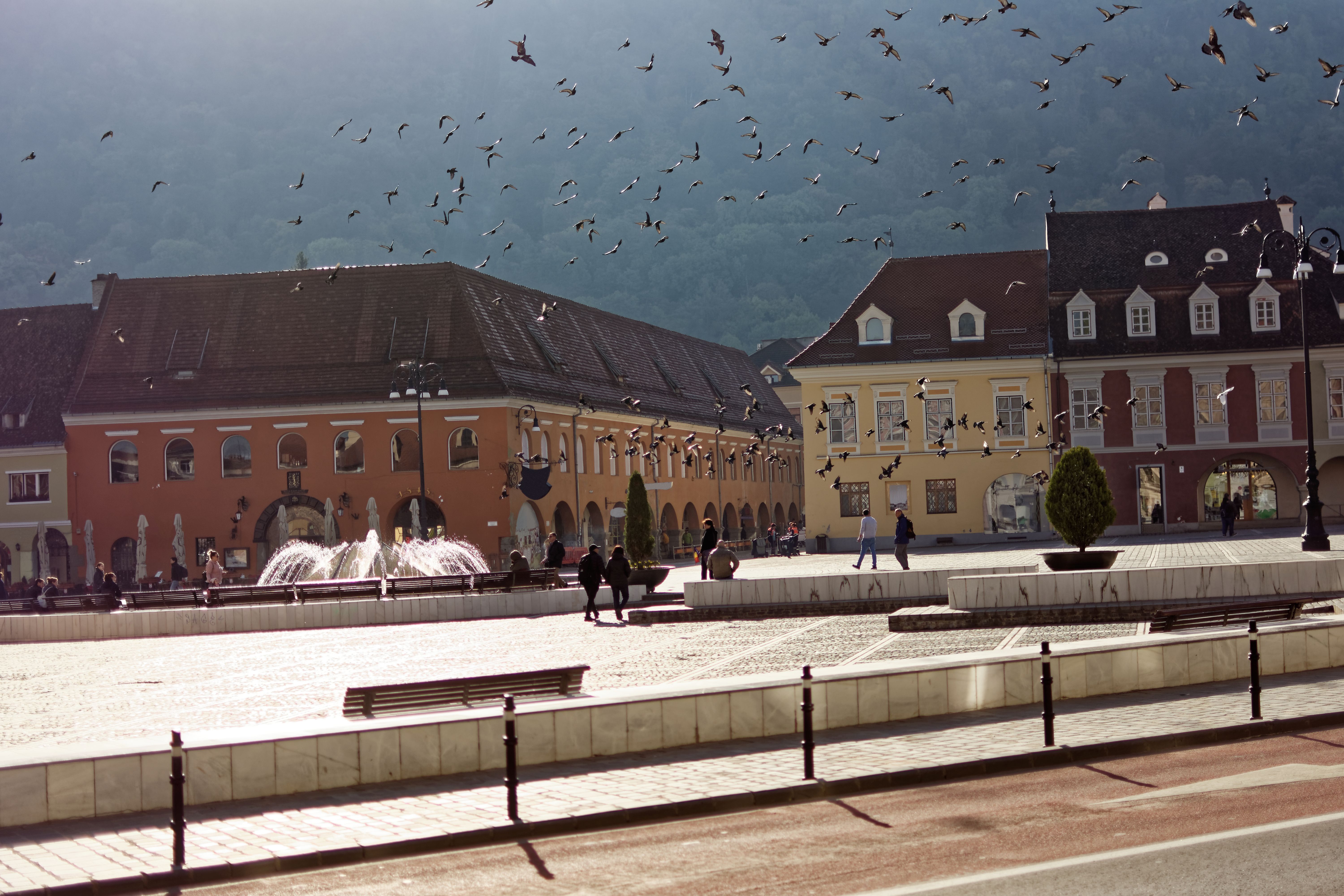 business meeting Brasov