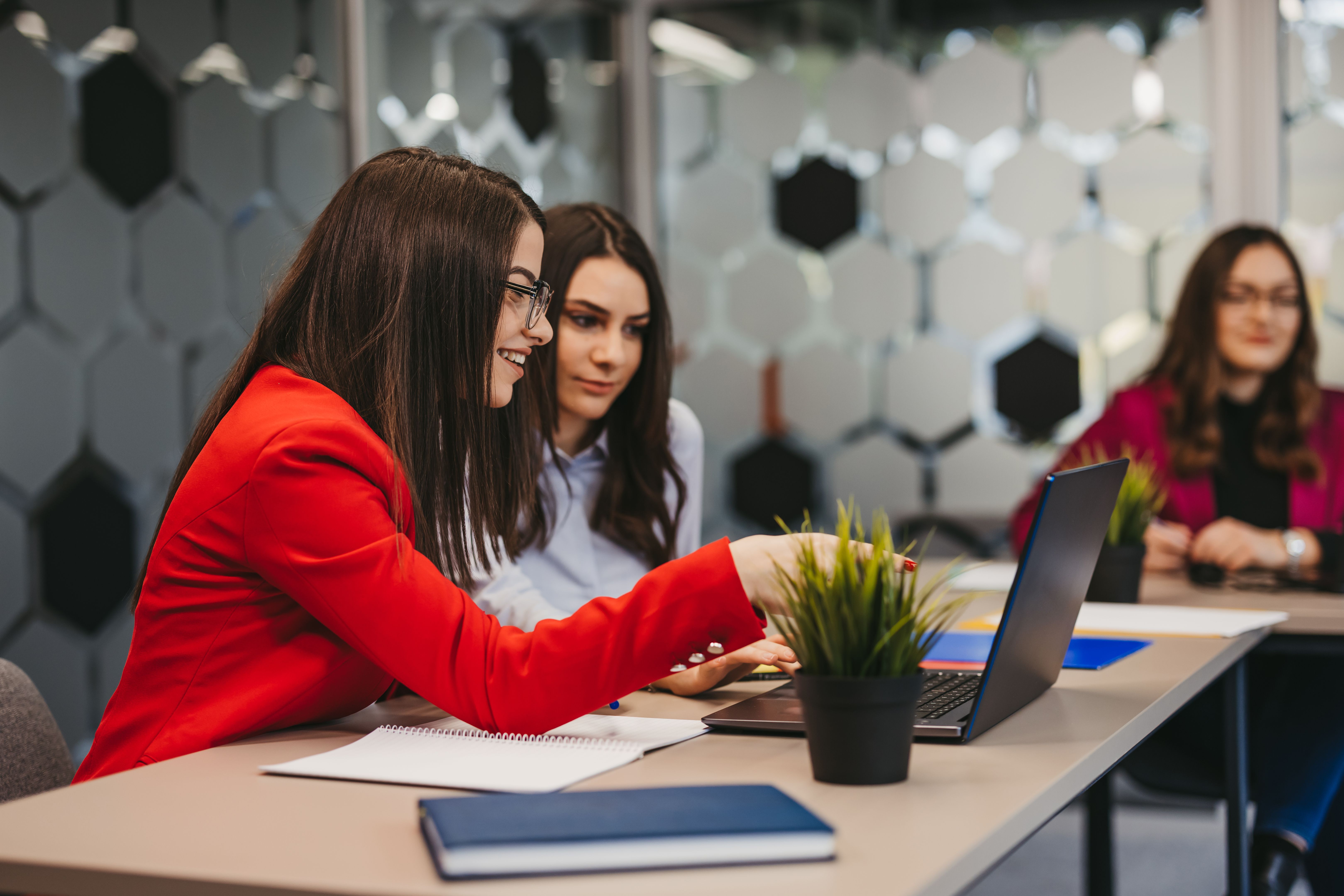 Young business women working in modern office