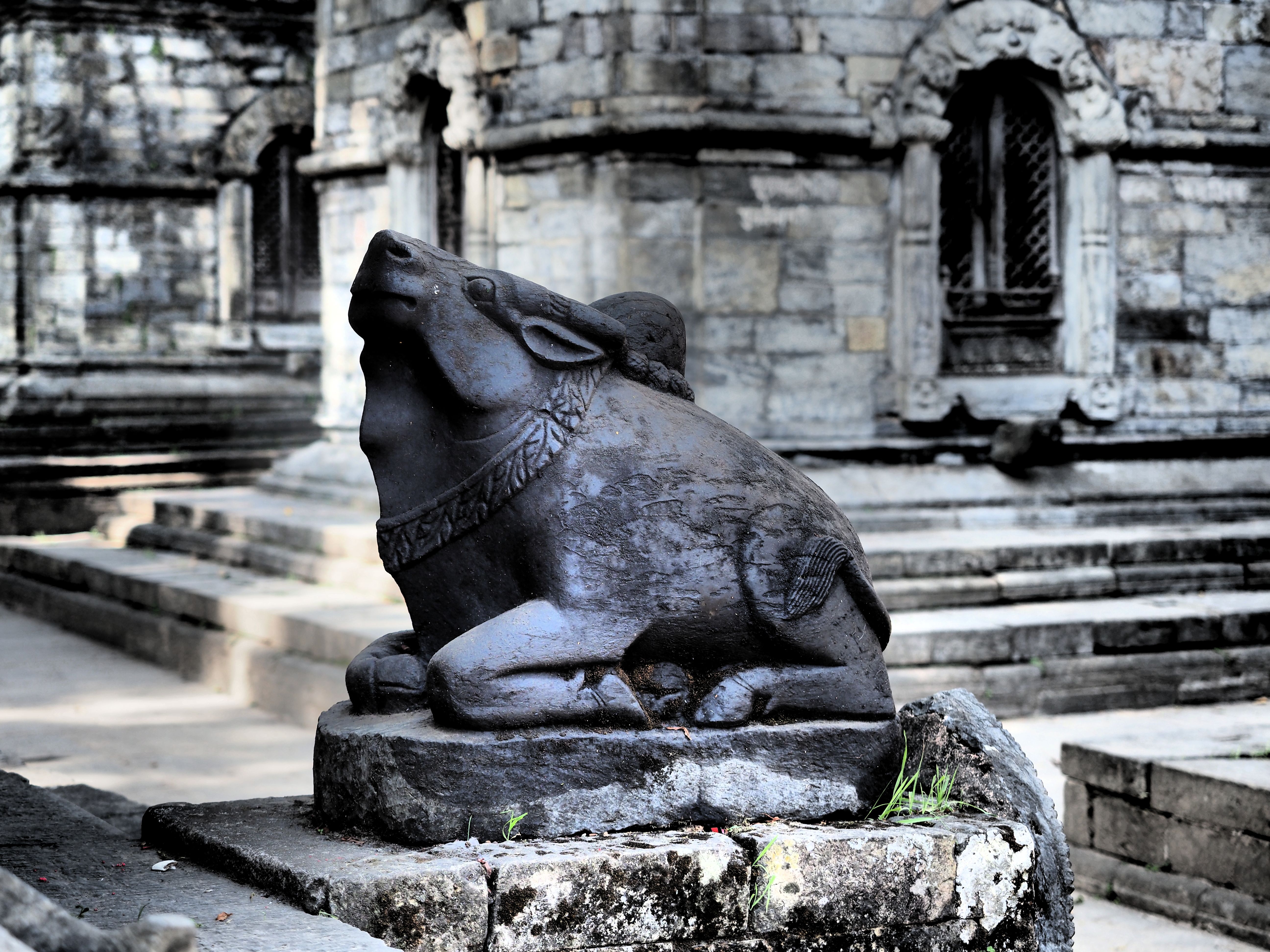 statue of a bull in front of Shiva temple on the Mrigasthali hill in Pashupatinath area, dramatic effect statue of a bull in front of Shiva temple on the Mrigasthali hill in Pashupatinath area, dramatic effect