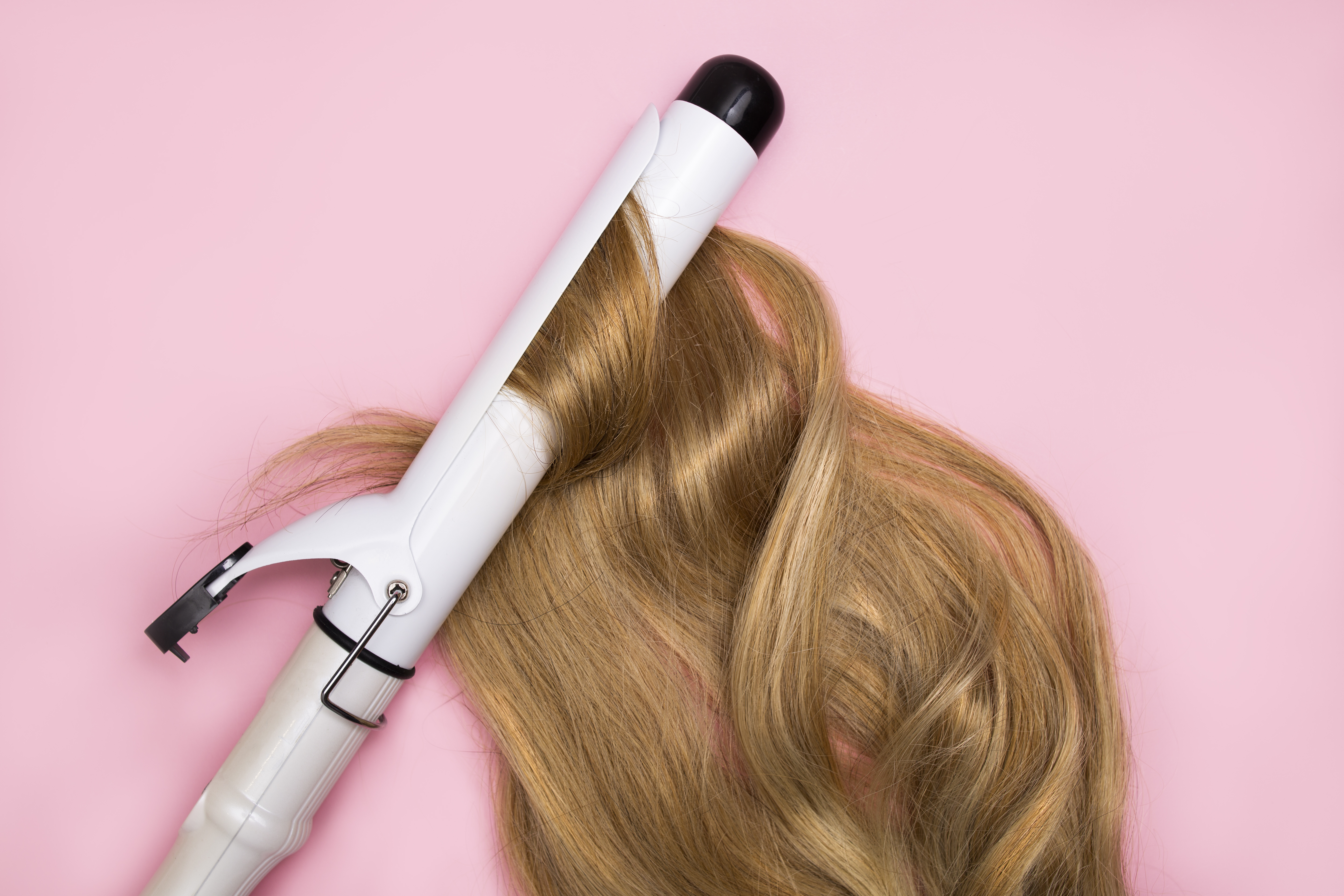 Curling blonde hair on a large diameter curling iron on a pink background. Hair health concept, damage by hot hair styling.