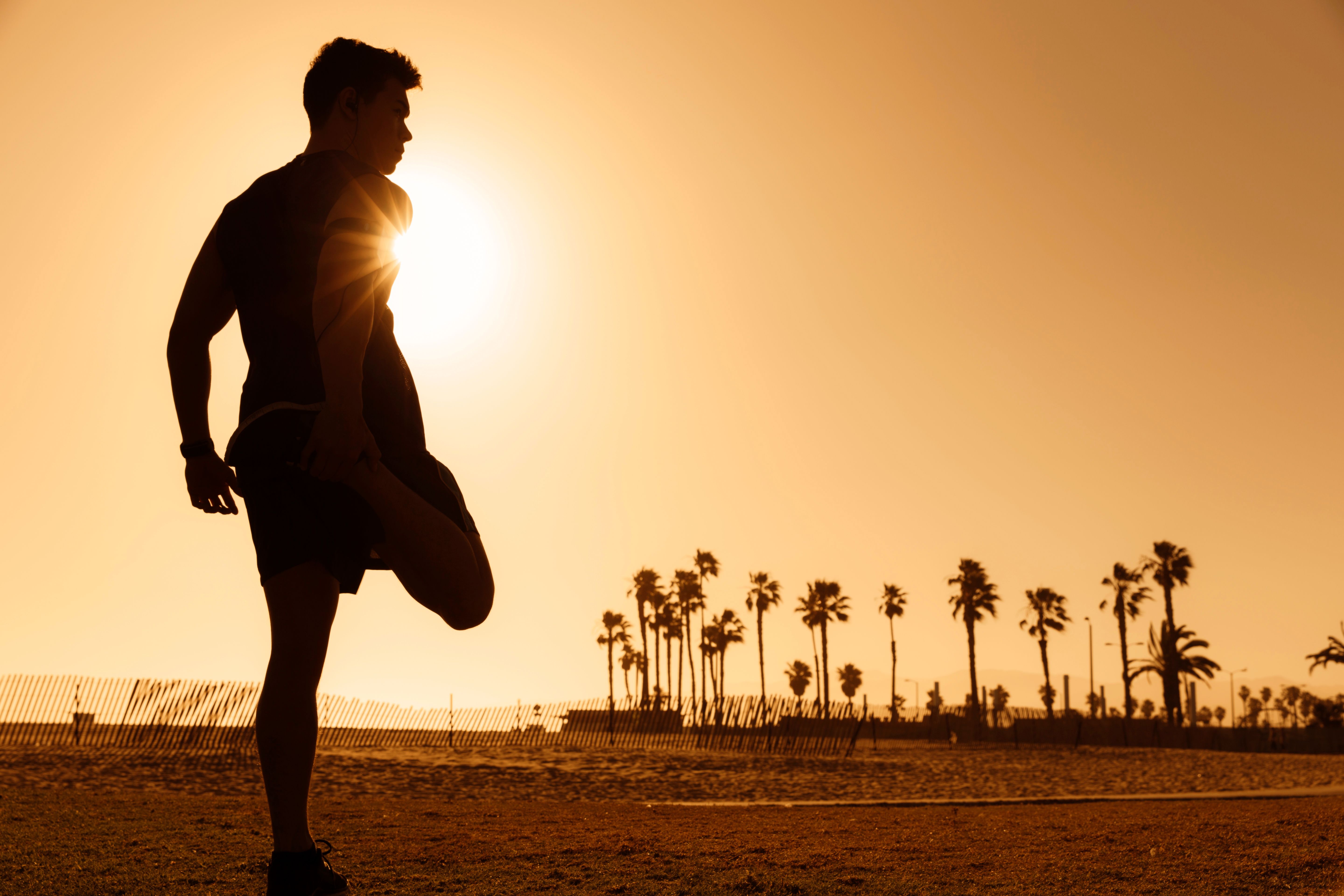 los angeles wellness