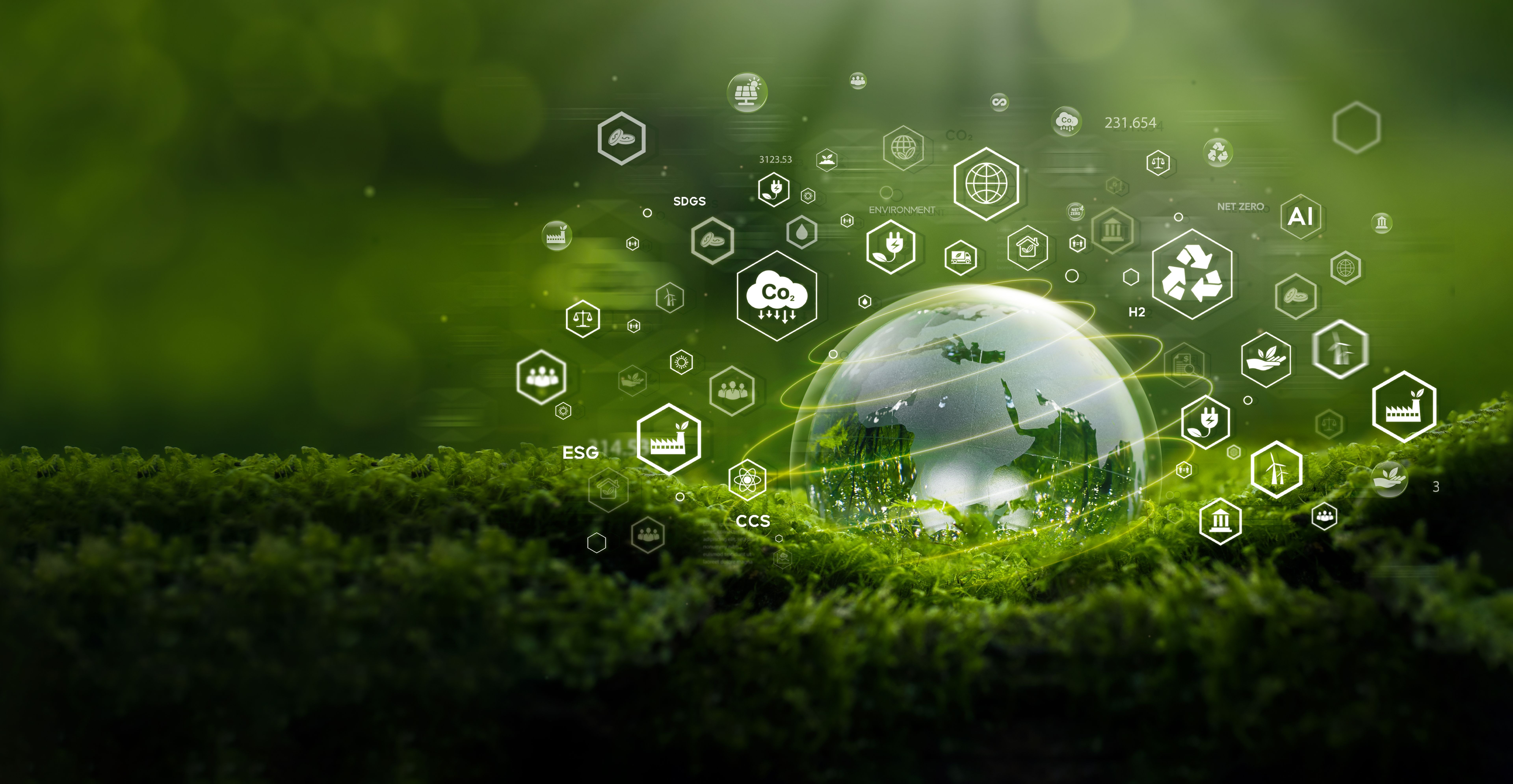 Exploring Advanced Environmental Databases for Professionals: What You ...