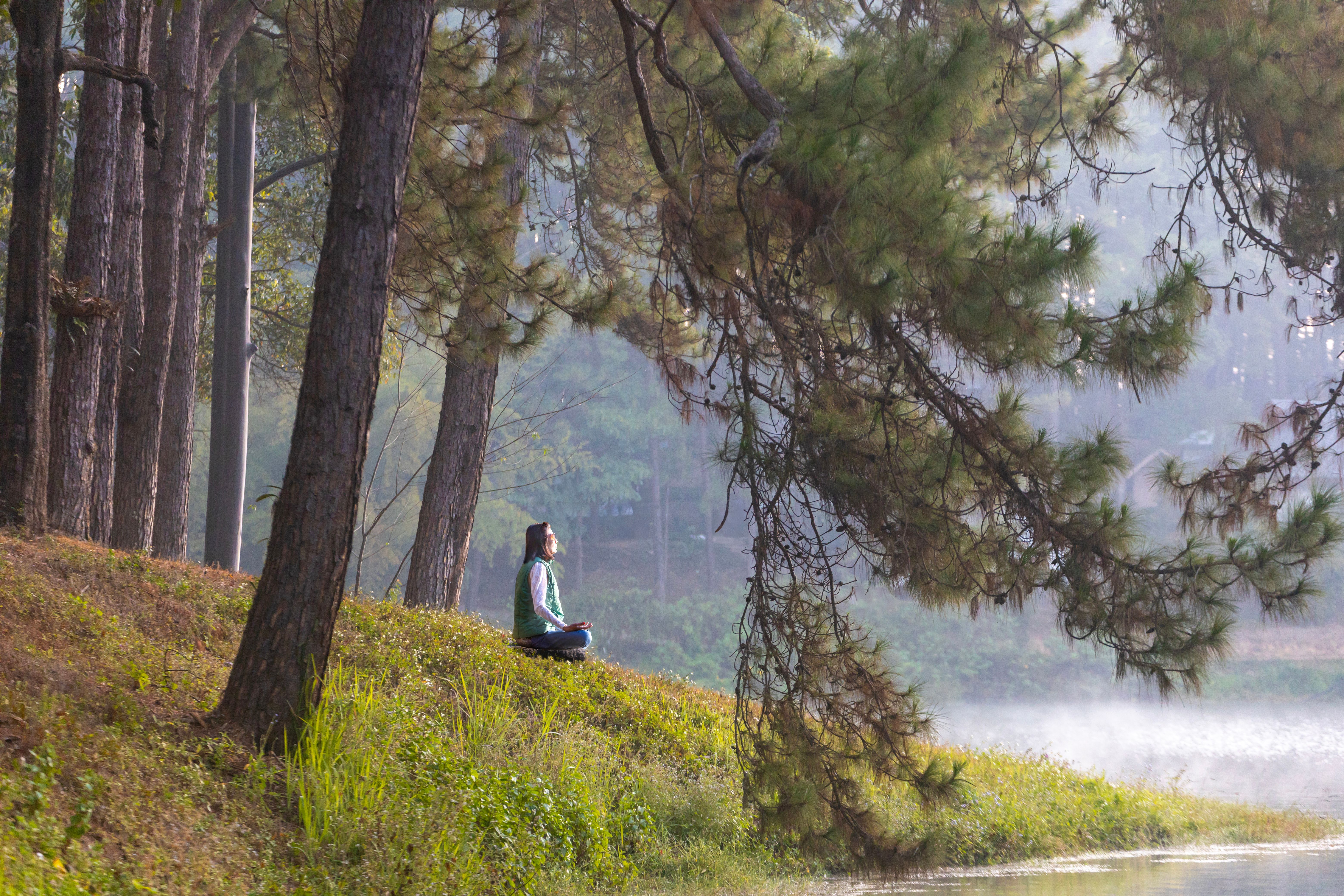 Back of woman relaxingly practicing meditation yoga in the forest to attain happiness from inner peace wisdom serenity with beam of sun light for healthy mind wellbeing and wellness soul concept