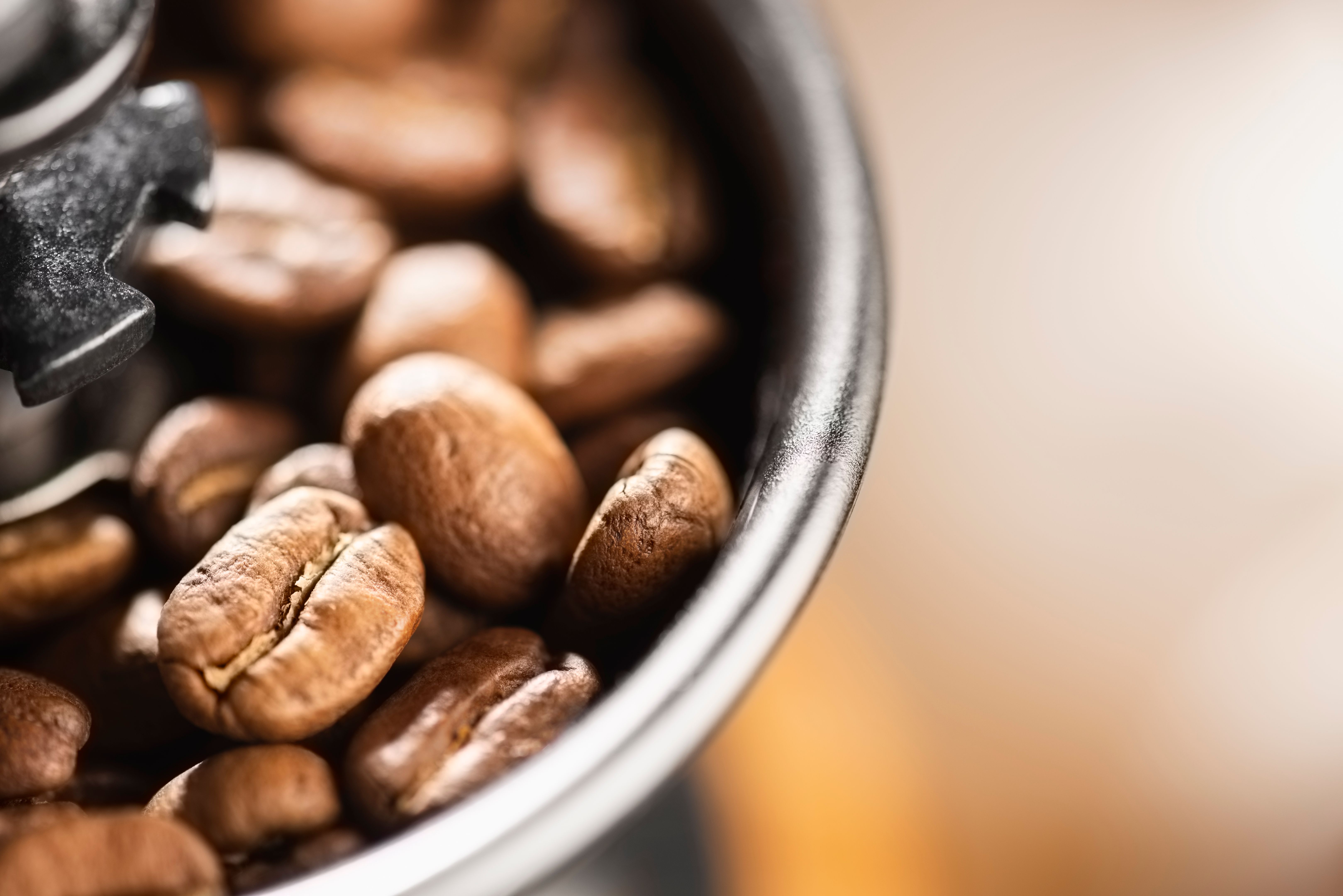 coffee grinder maintenance