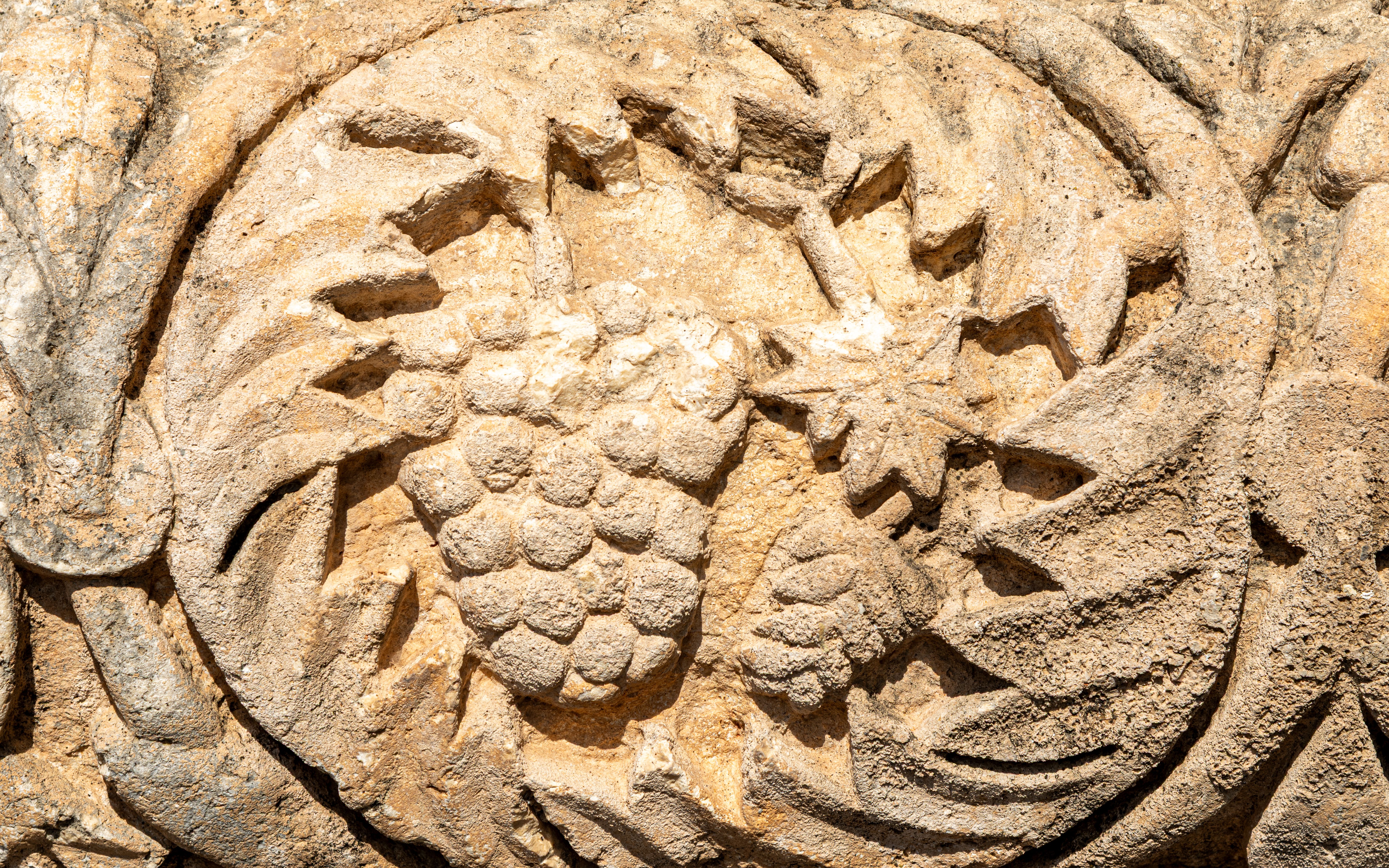 holy land pilgrimage