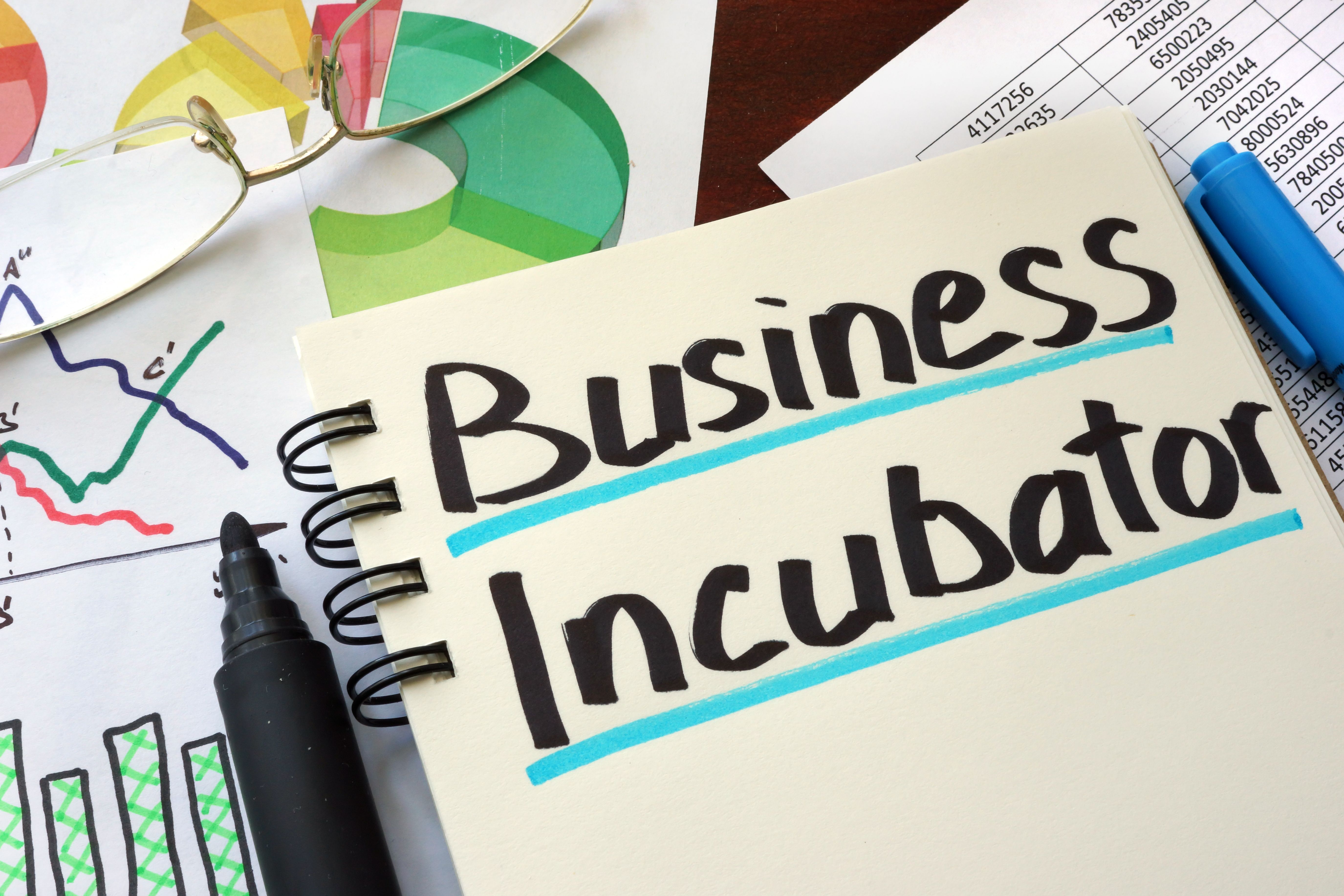 startup incubator