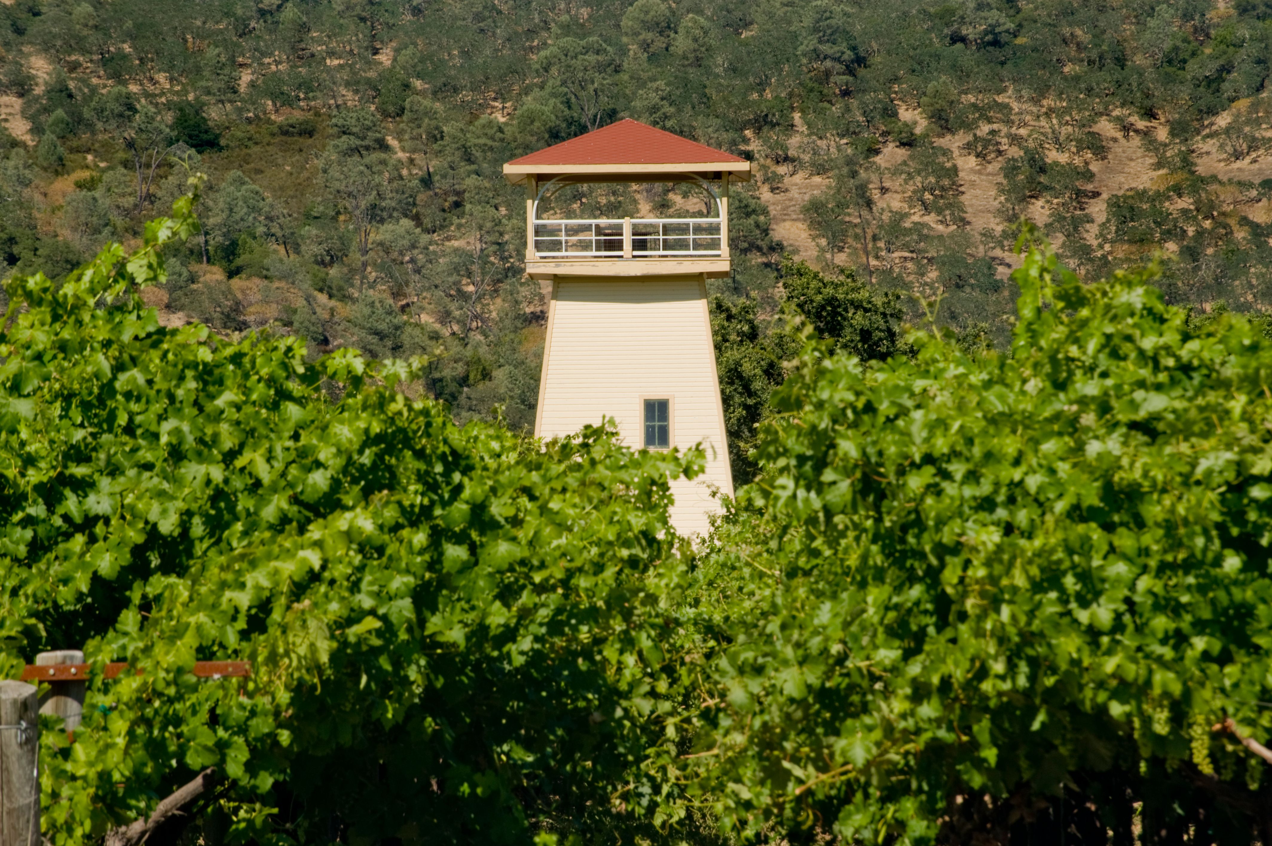 grape escape lodging