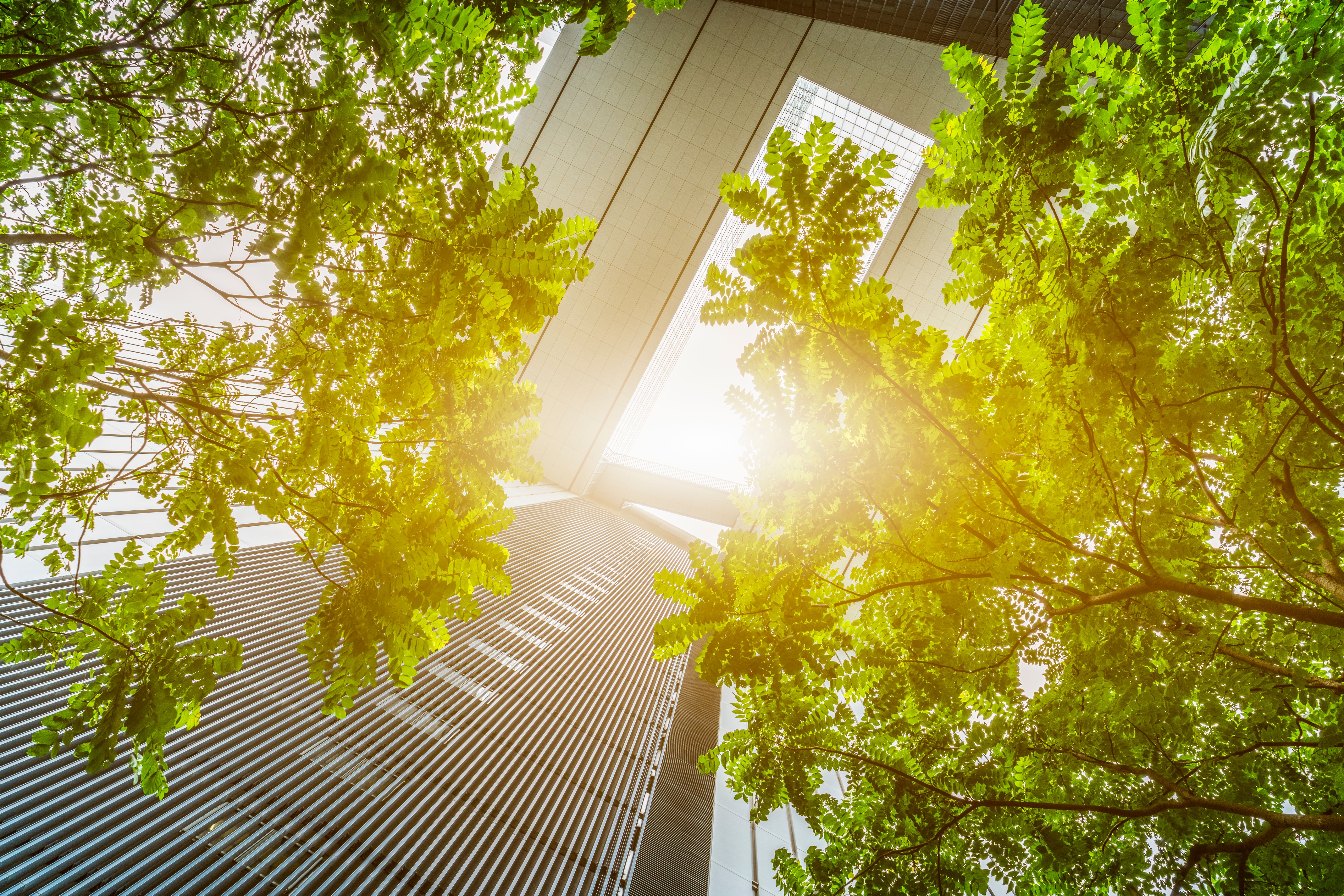 urban greenery