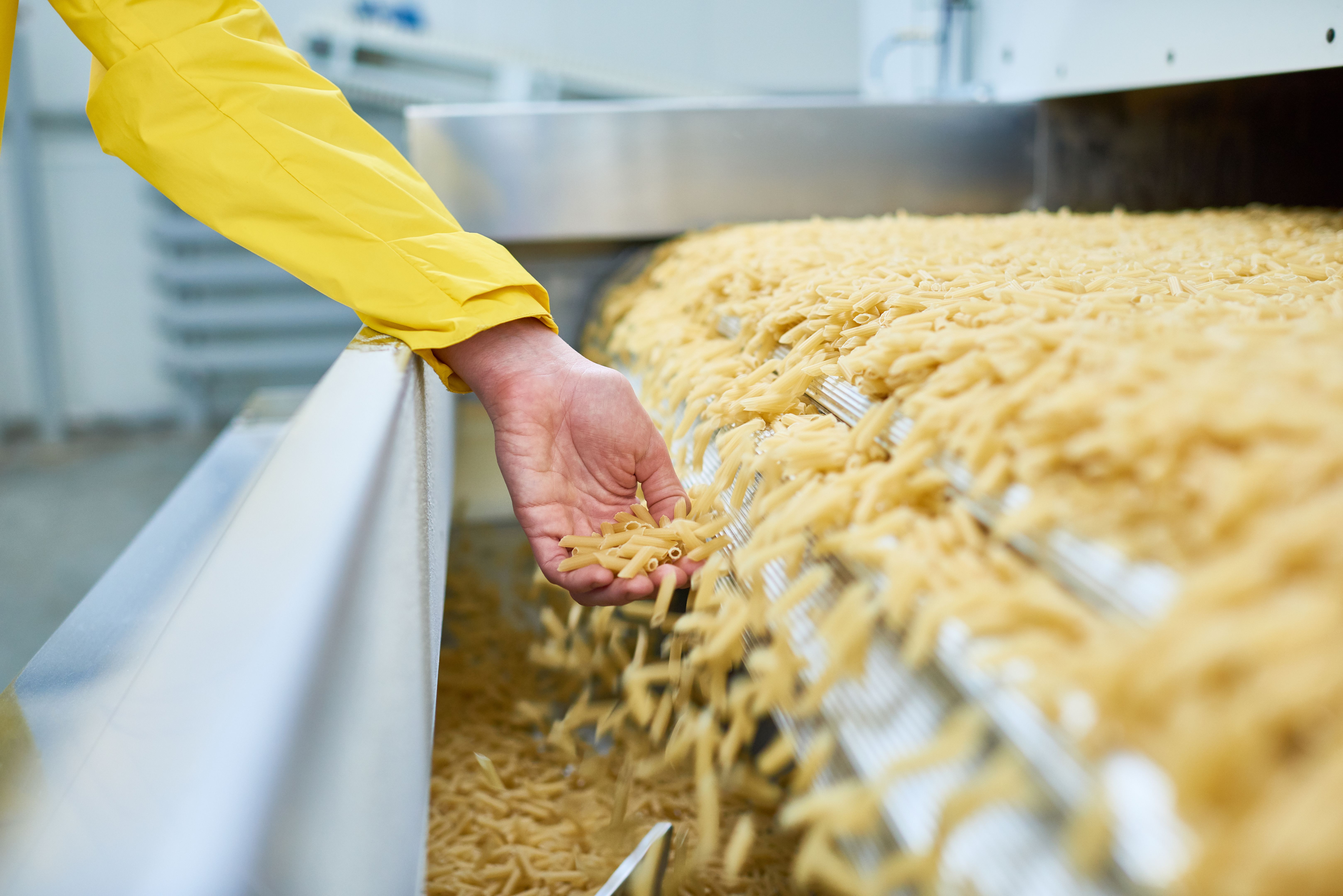 pasta production