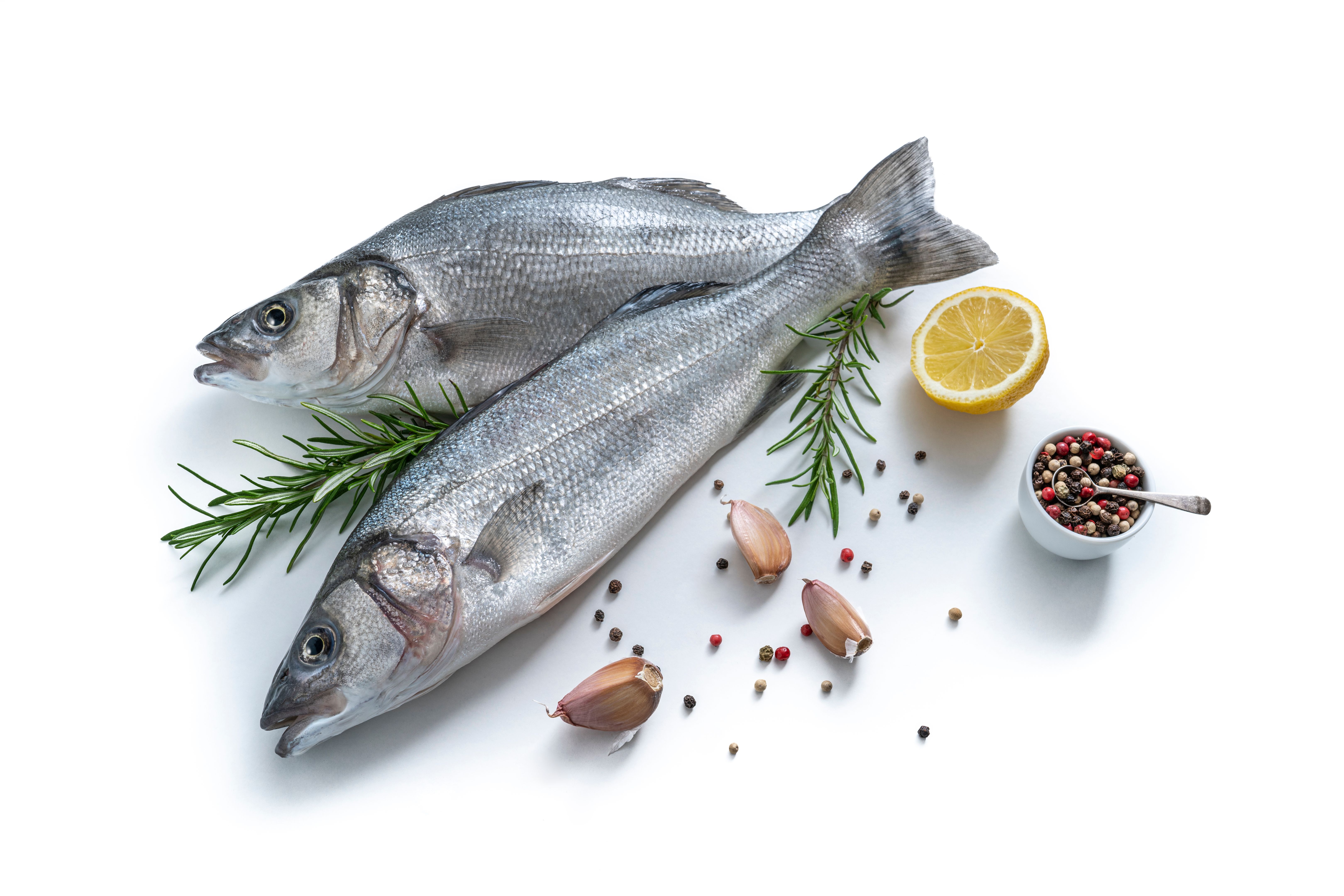 fresh fish