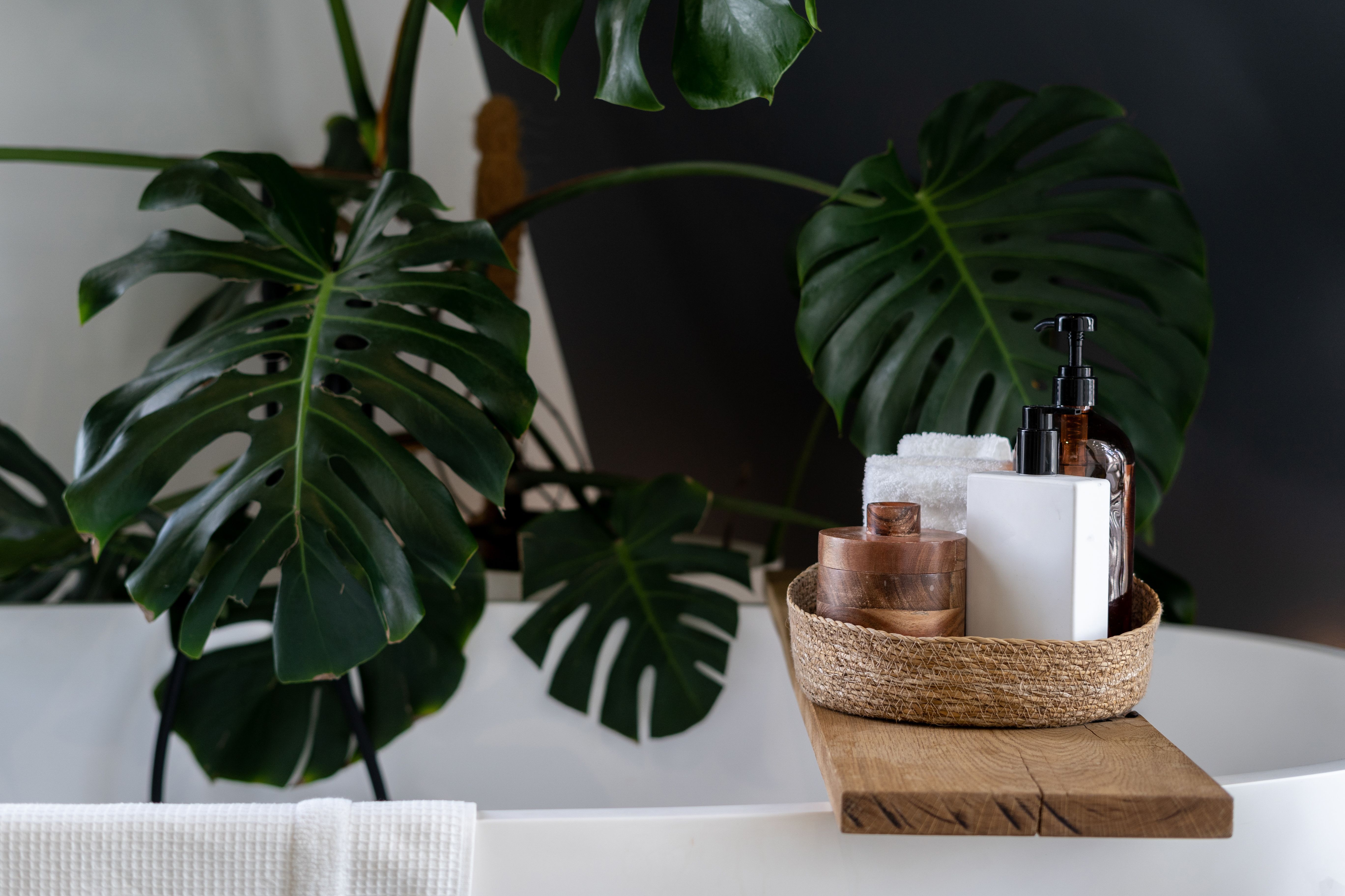 indoor plants spa