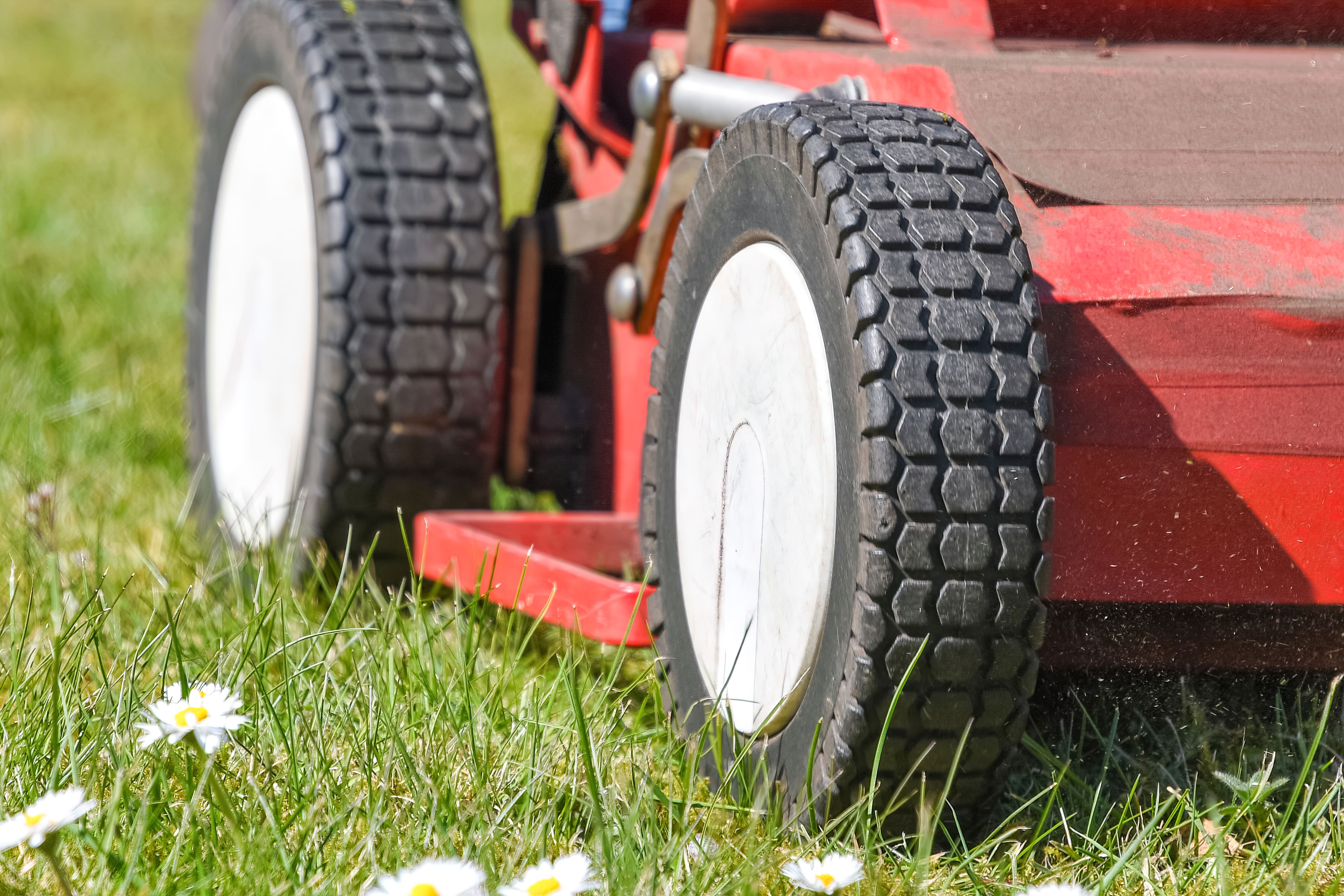 property maintenance spring