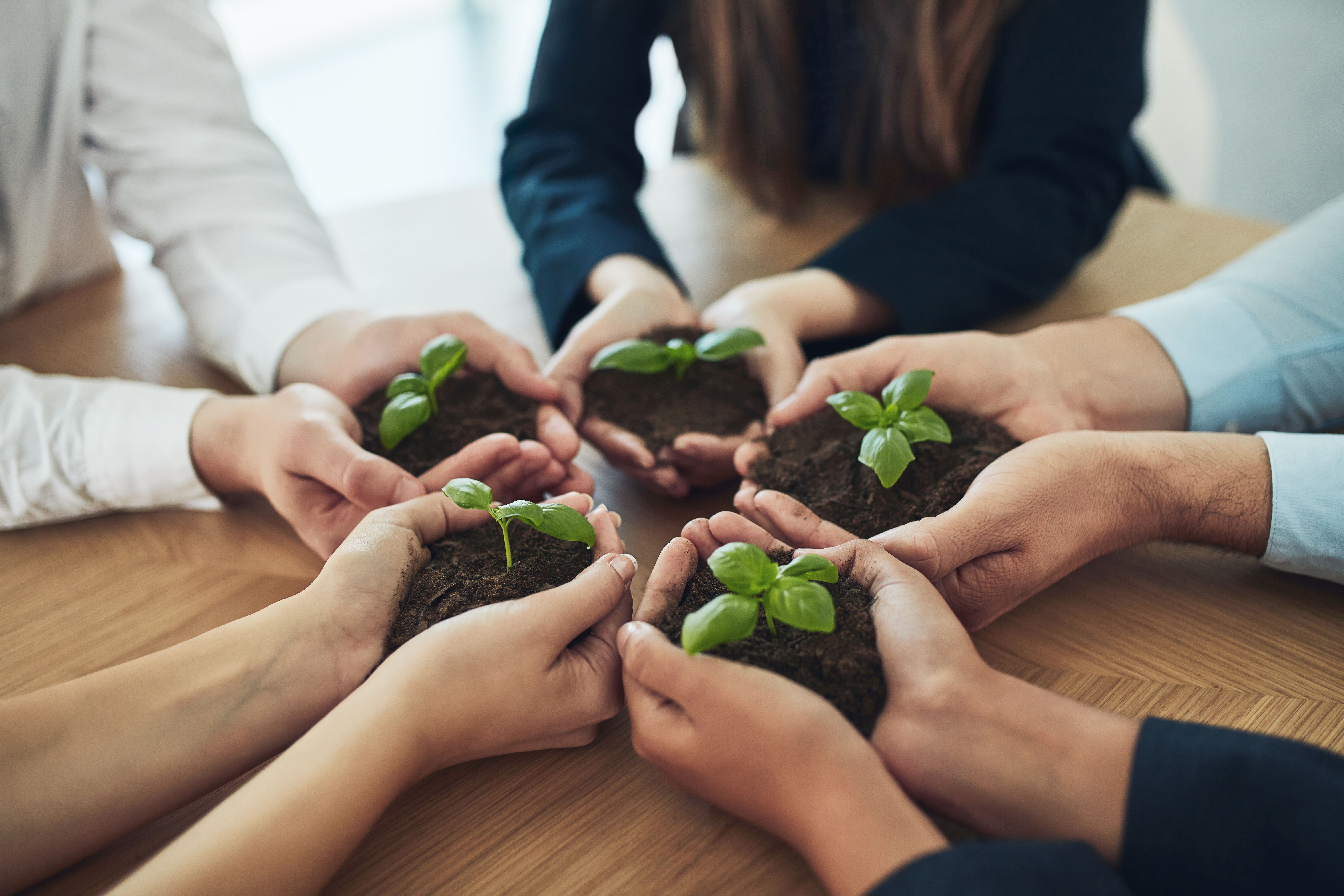 beneficios sostenibles