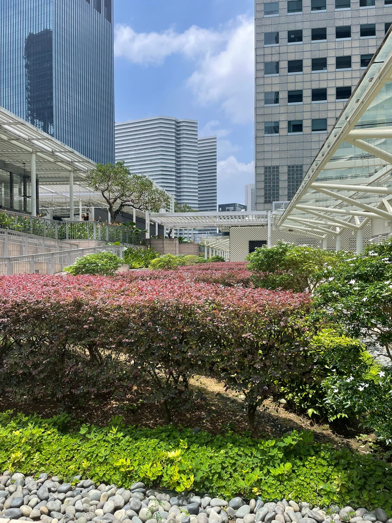 commercial landscaping