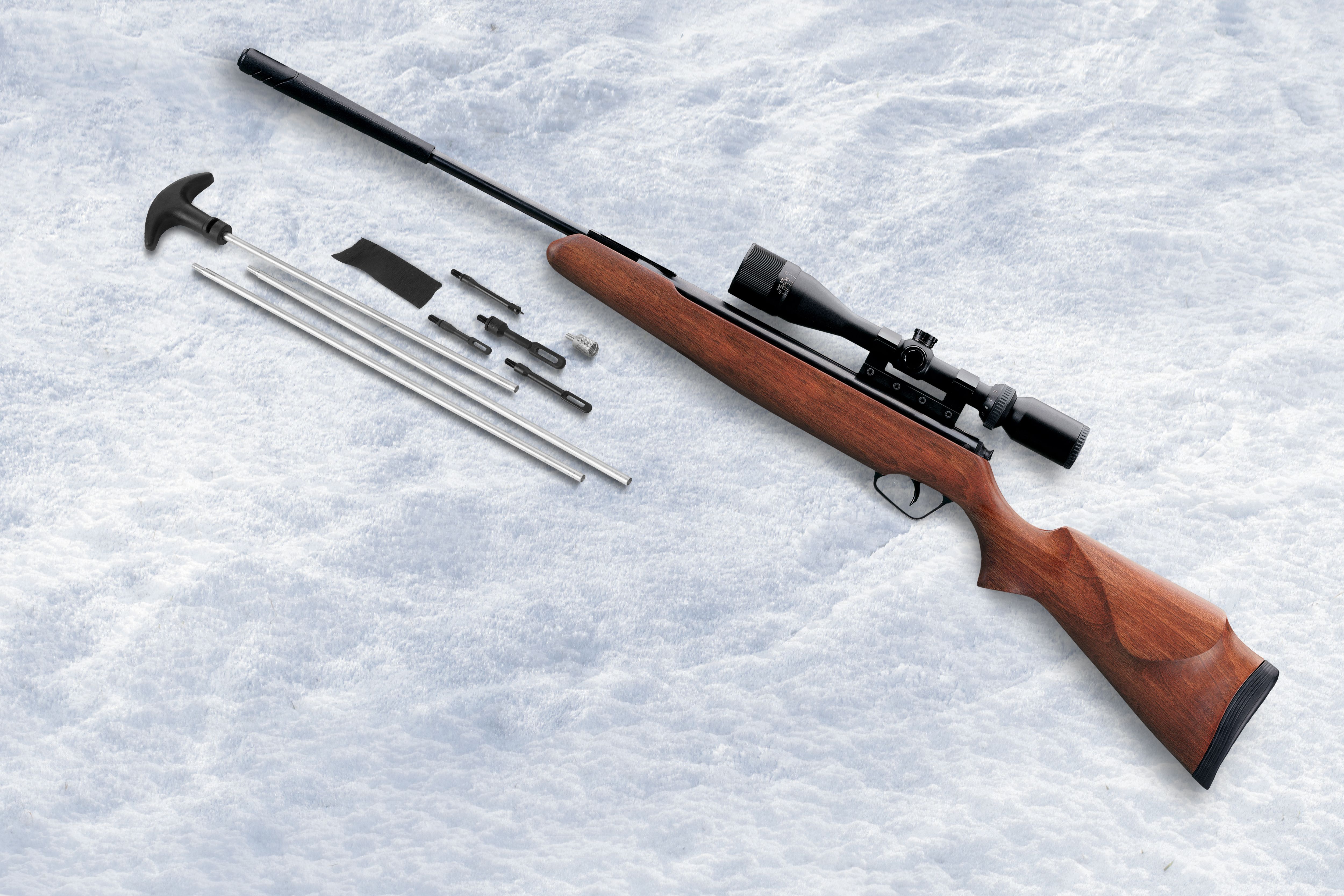 winter firearms