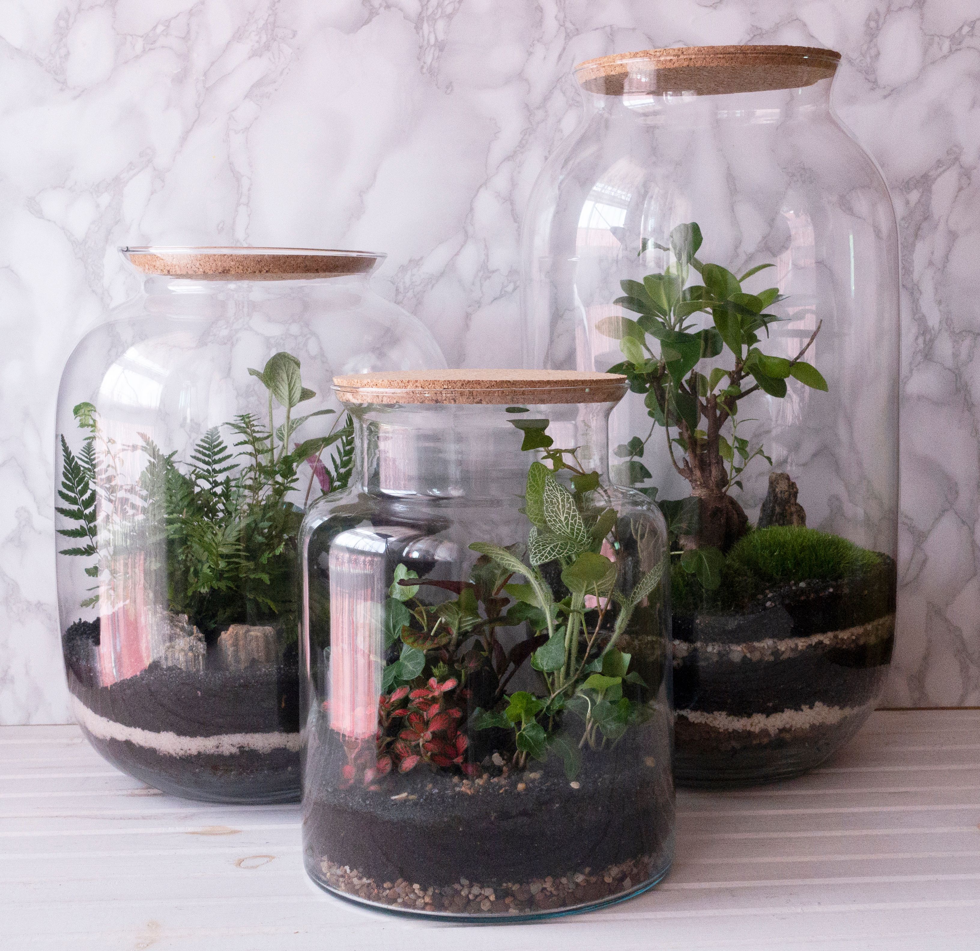 open closed terrarium