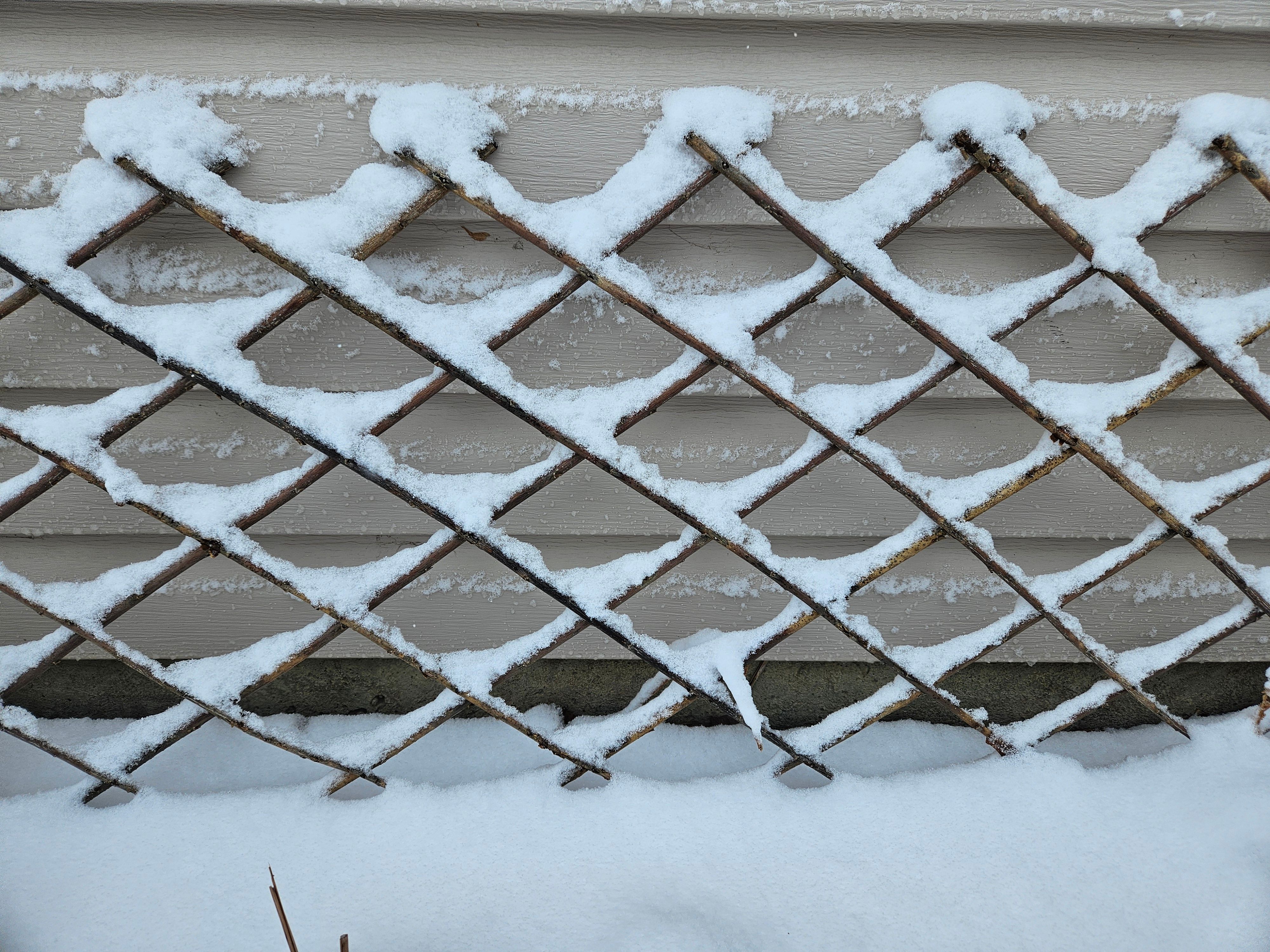 winter snow fence