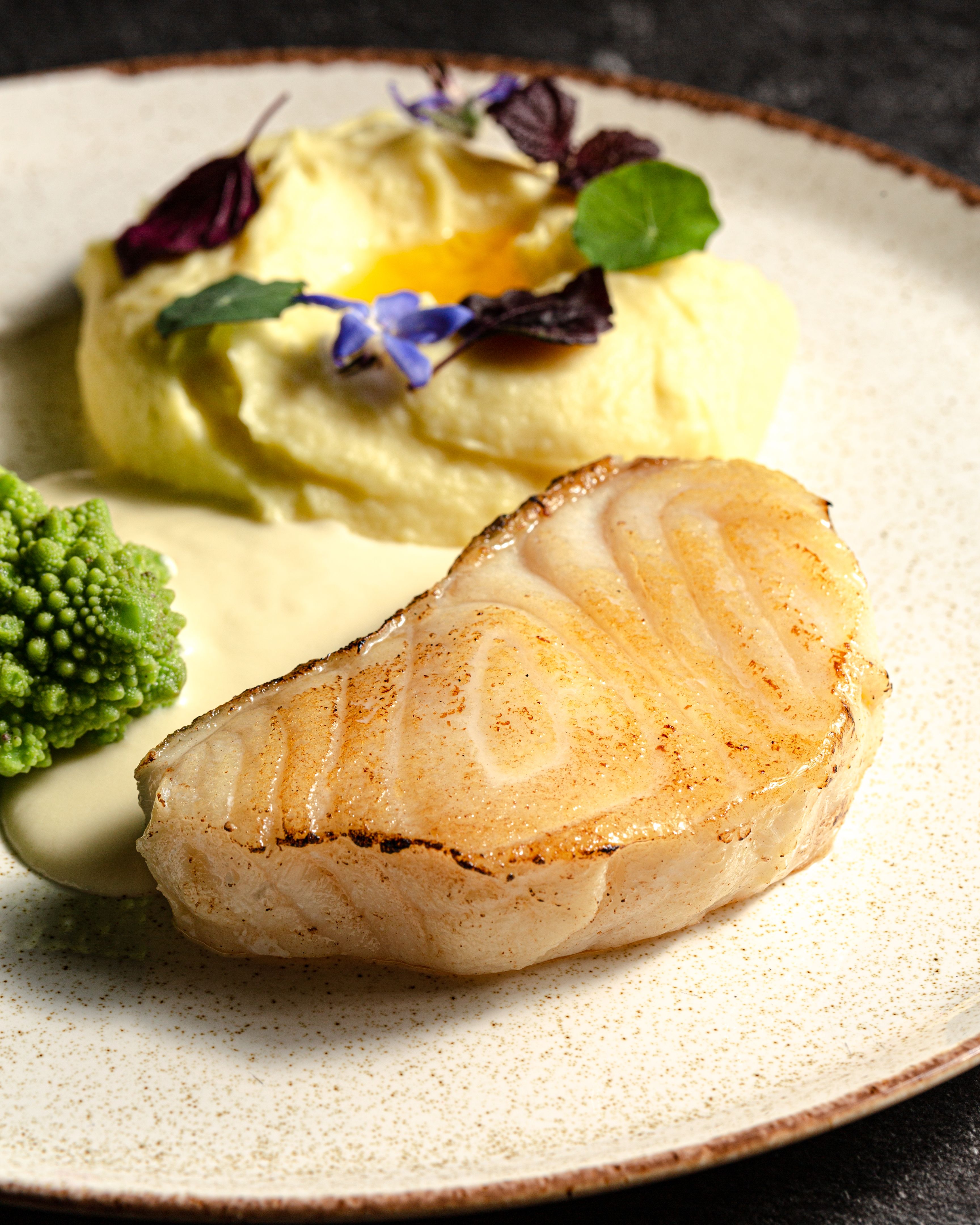 Fried cod fillet with potato puree. Close up.