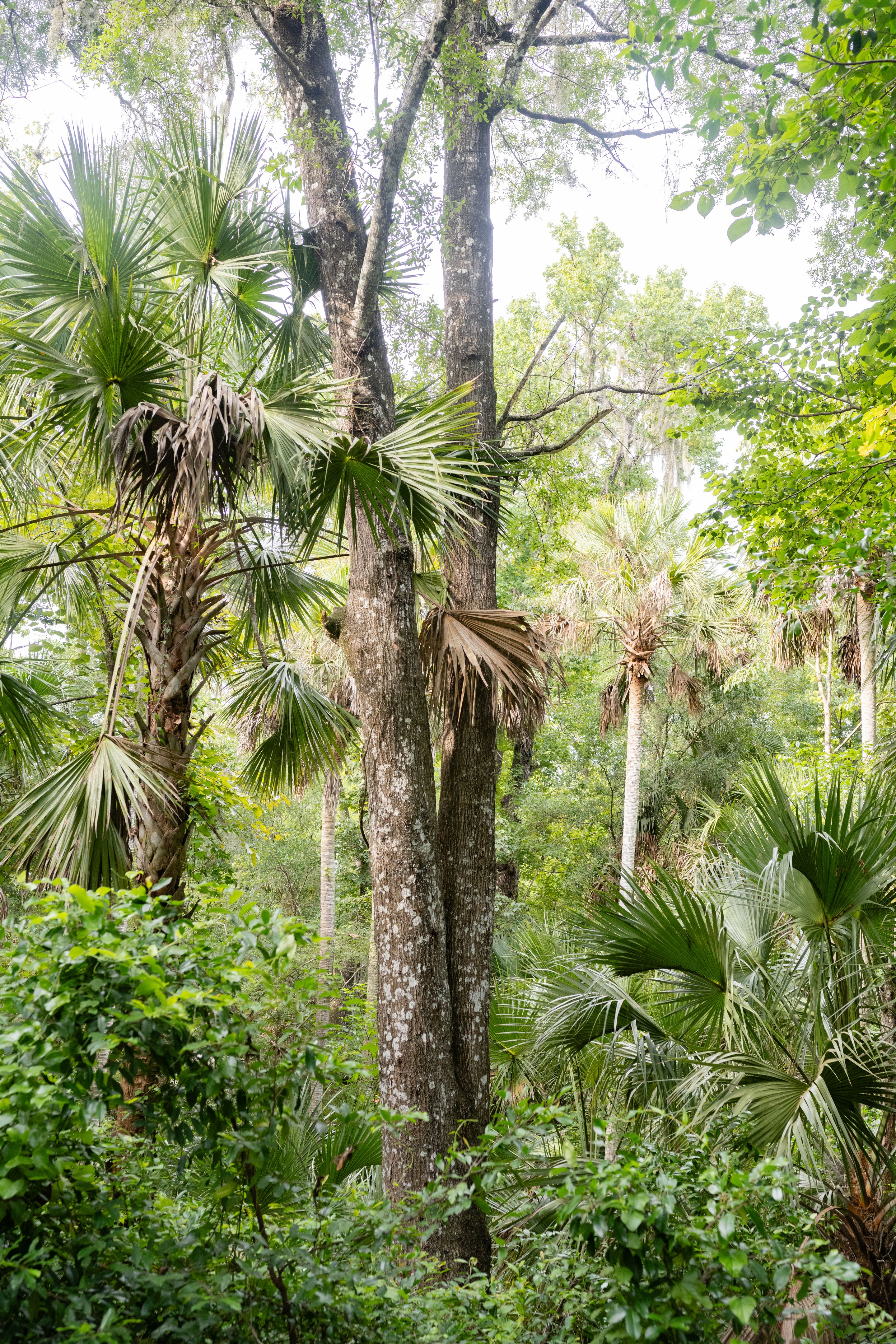 central florida fields