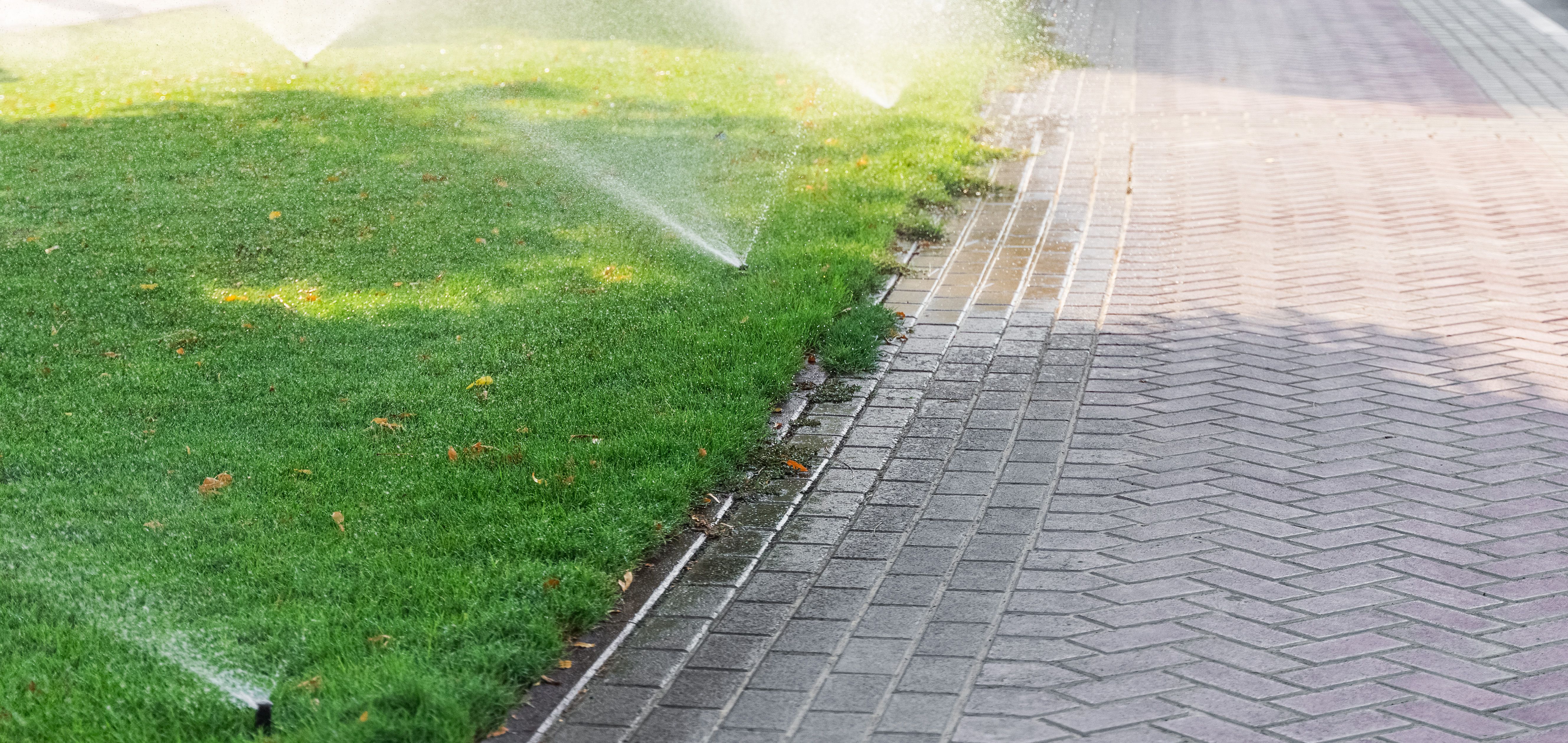 summer lawn irrigation