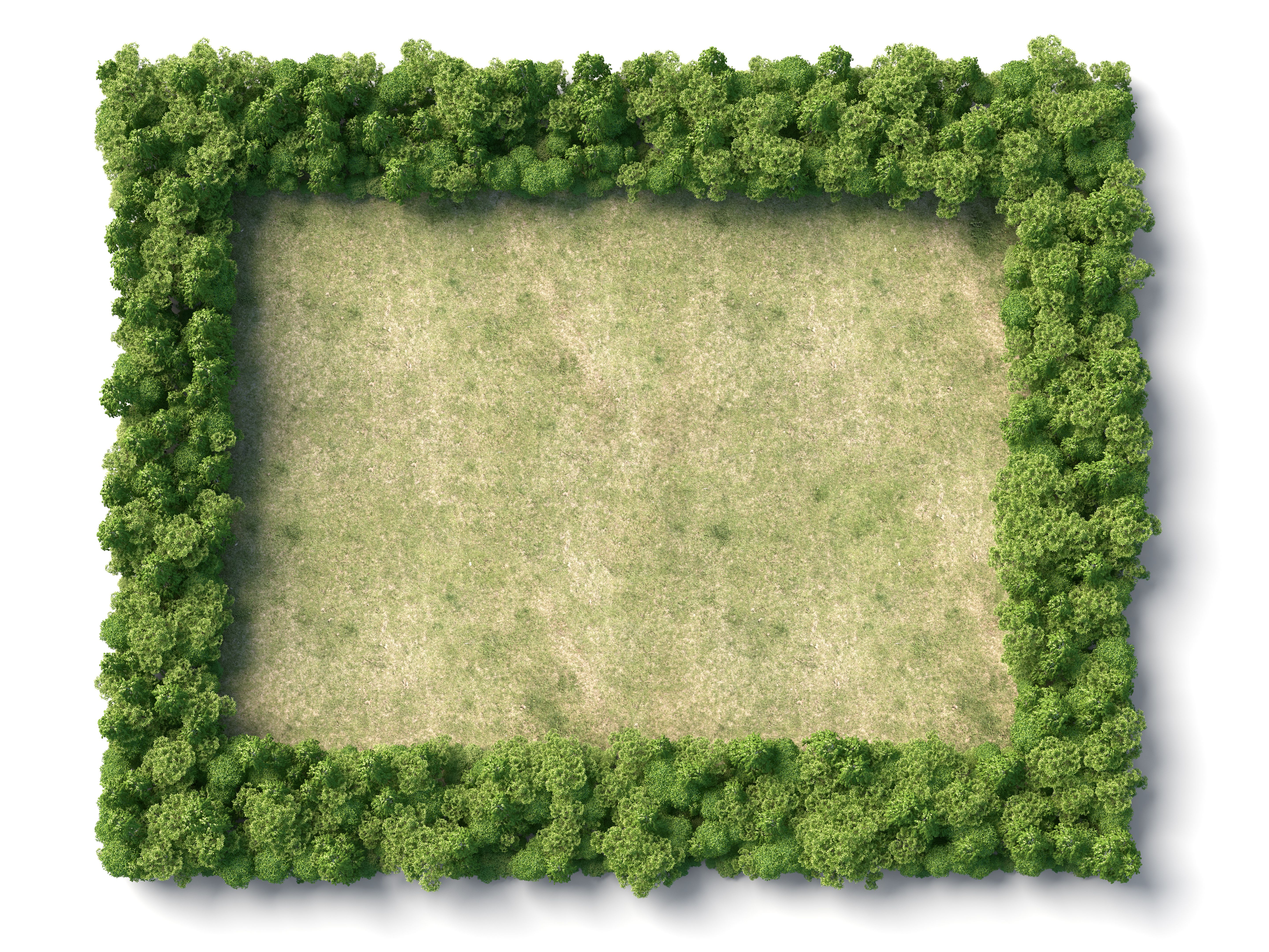 aerial view framing