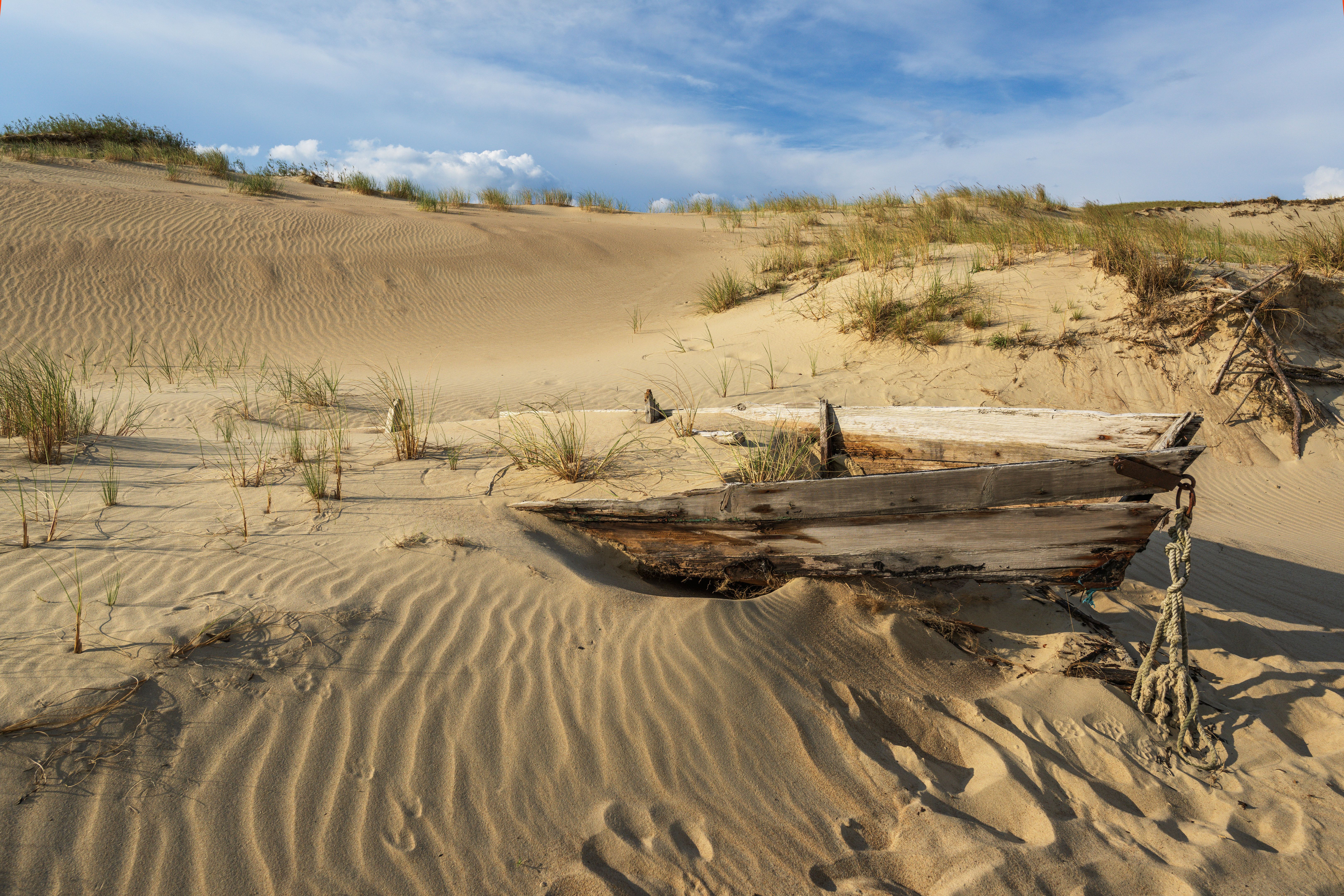 Beautiful Grey Dunes, Dead Dunes at the Curonian Spit in Nida, Neringa, Lithuania