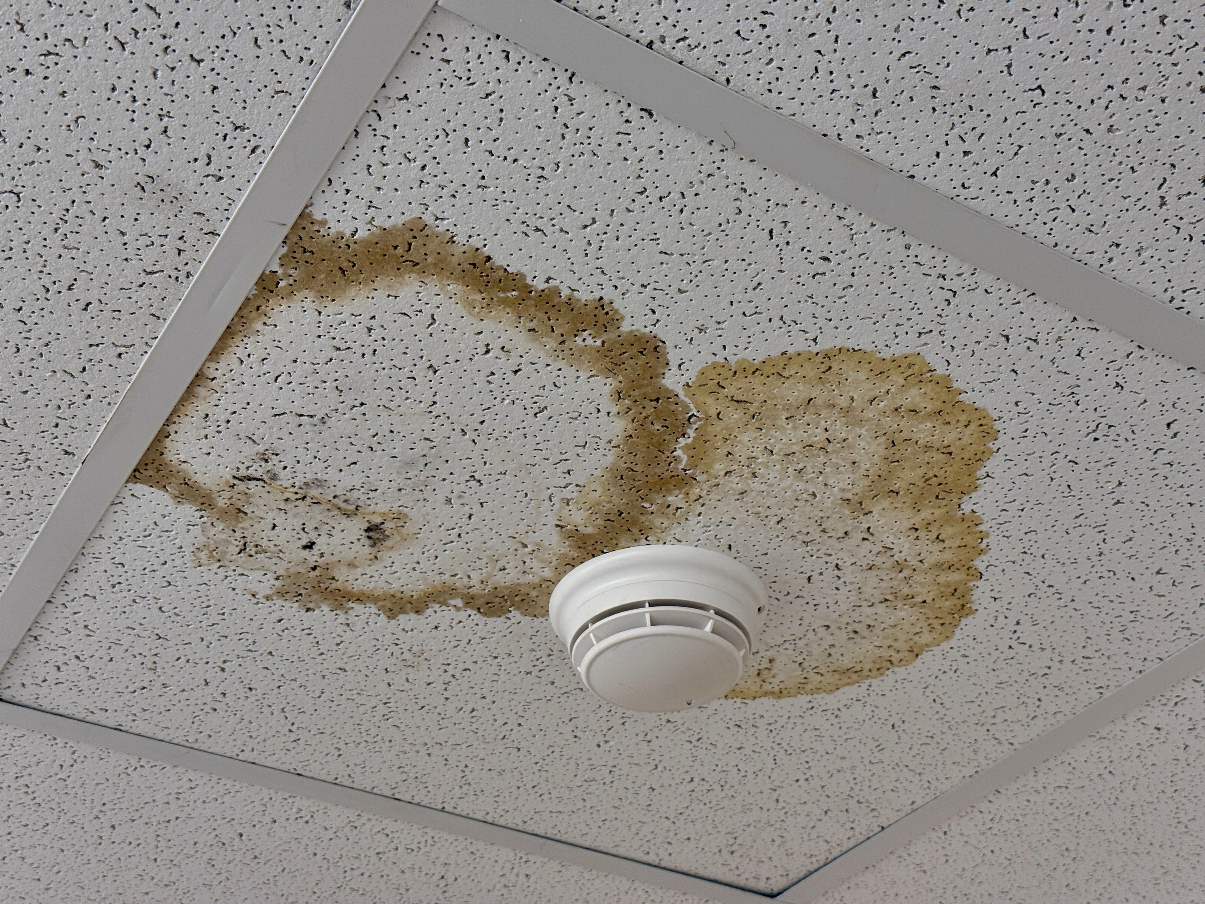 water stain ceiling