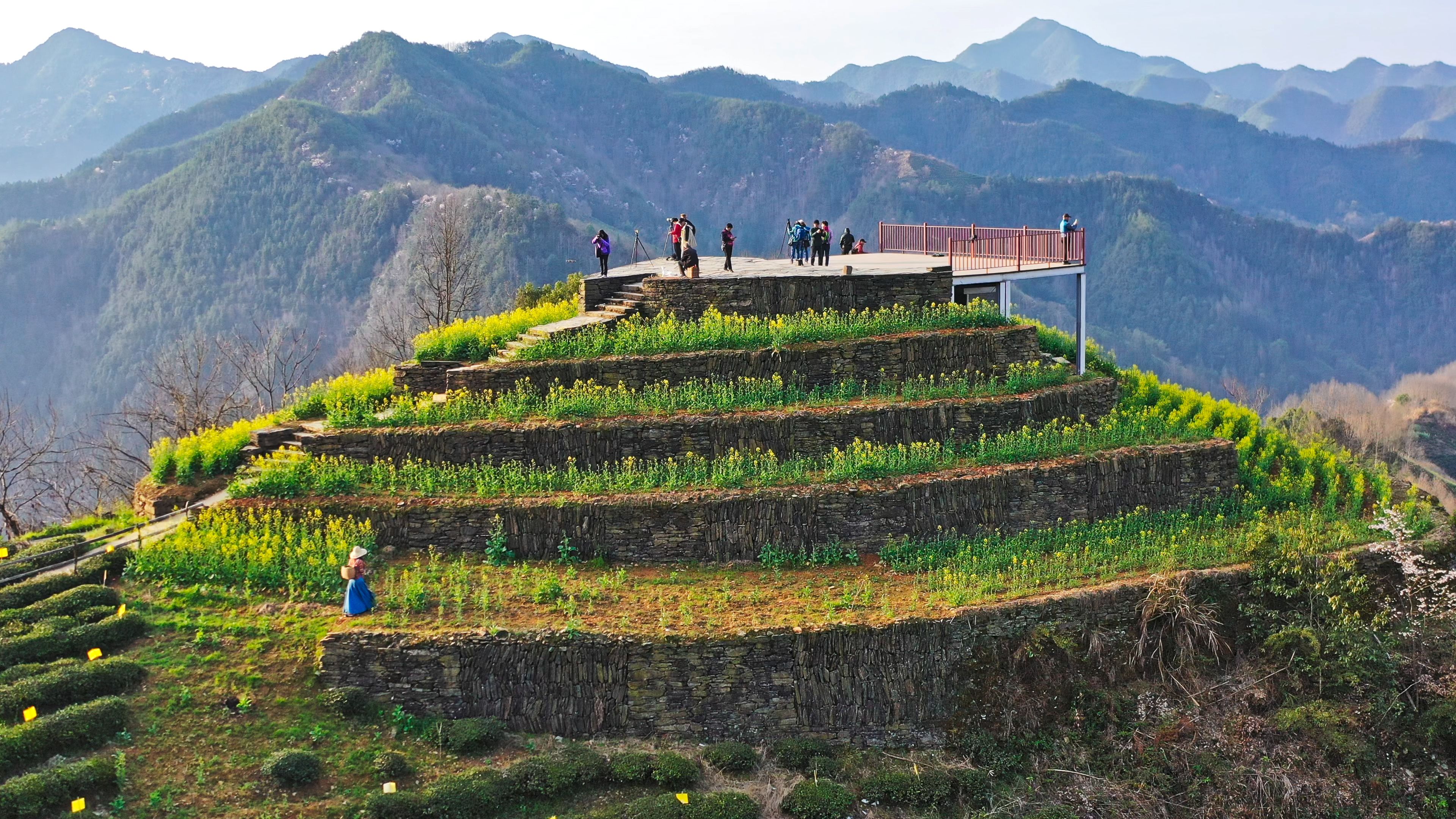 china agriculture