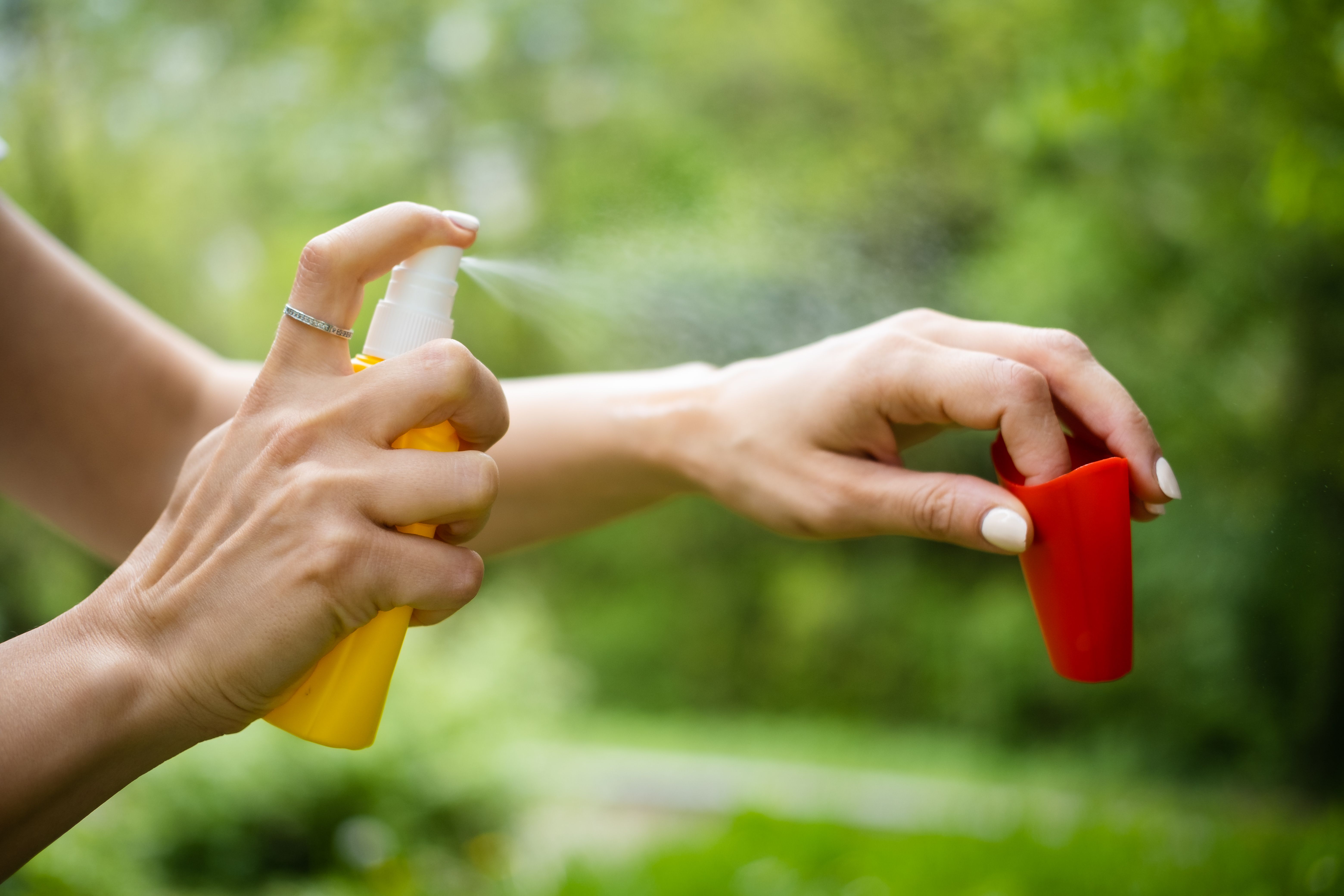 natural insect repellent