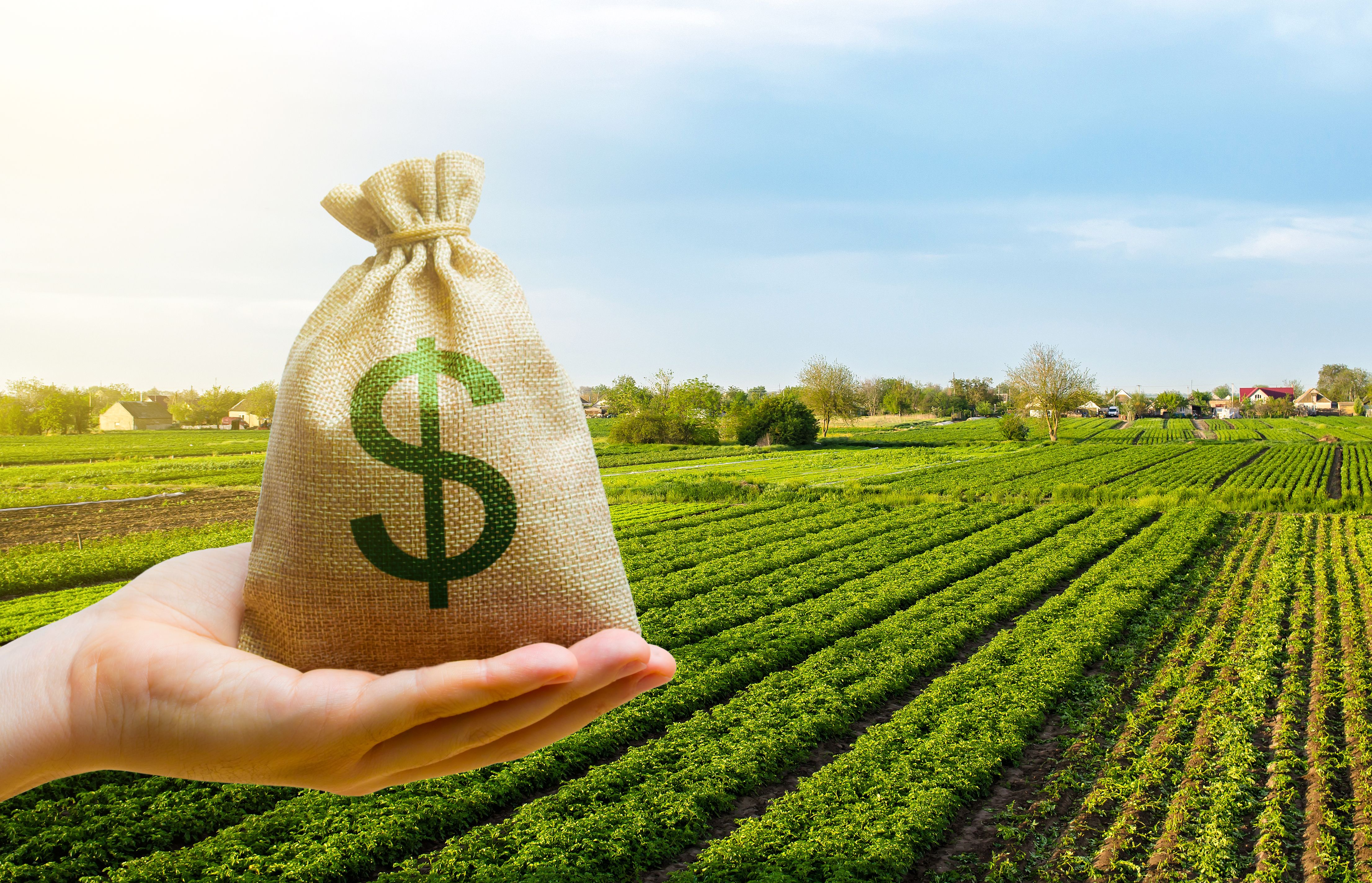 farm investment