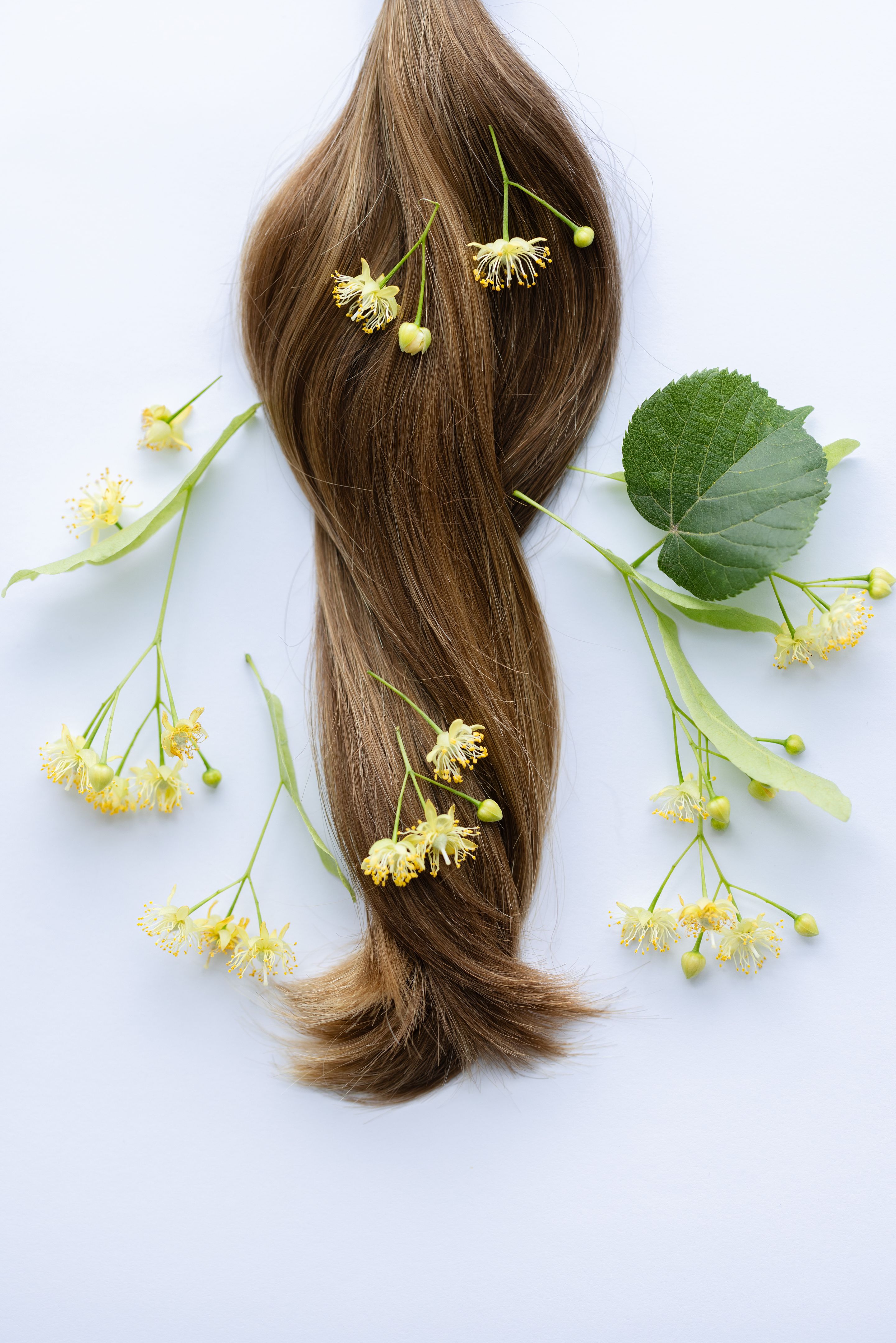 herbal hair care
