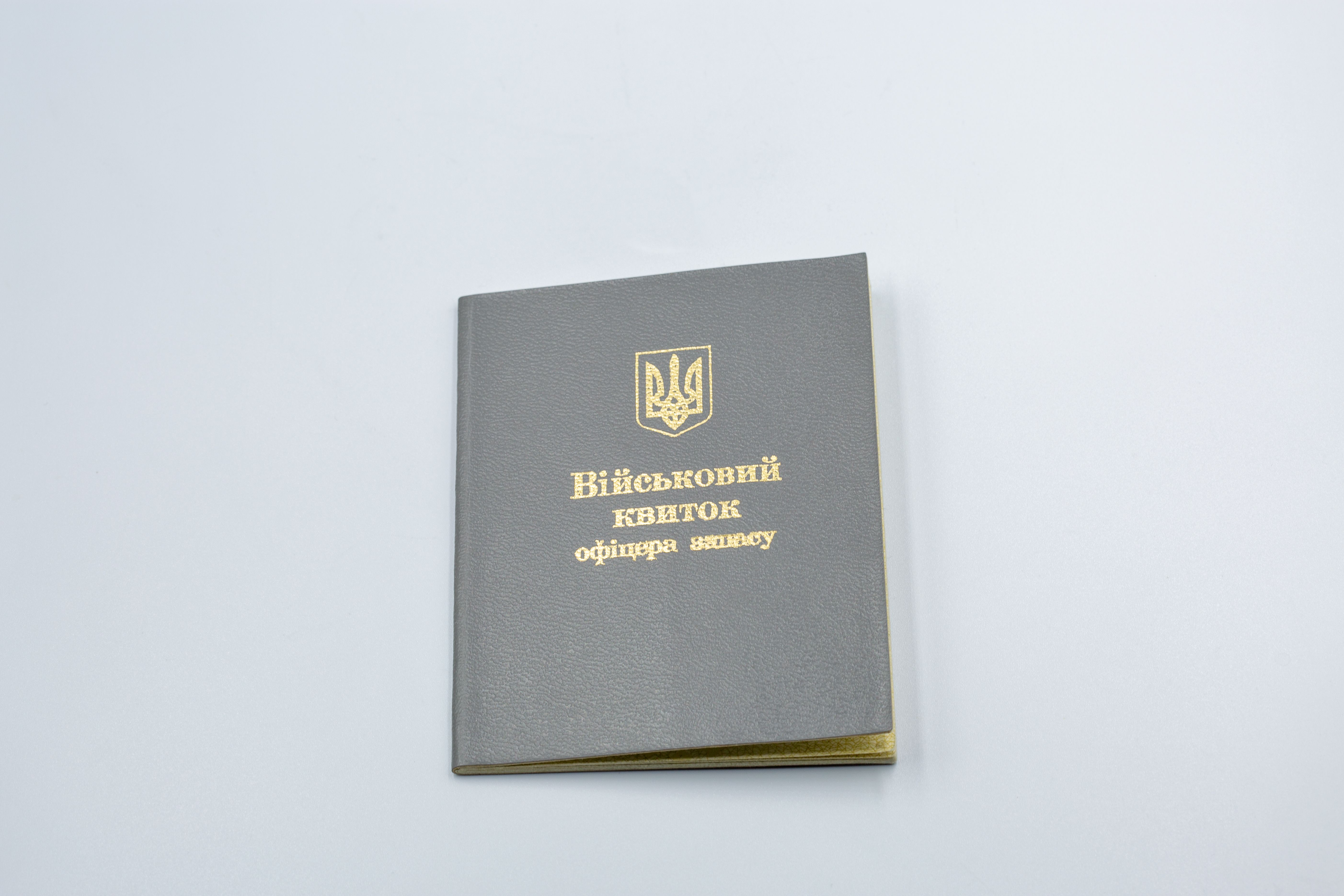 arte corporal tatuaje evento minimalist tattoo custom tattoo tatuaje estrellas mejor estudio tatuajes sevilla numero uno best tattoo shop sevilla fineline dotwork traditional linea fina realismo tradicional  urbe tattoo minitatu