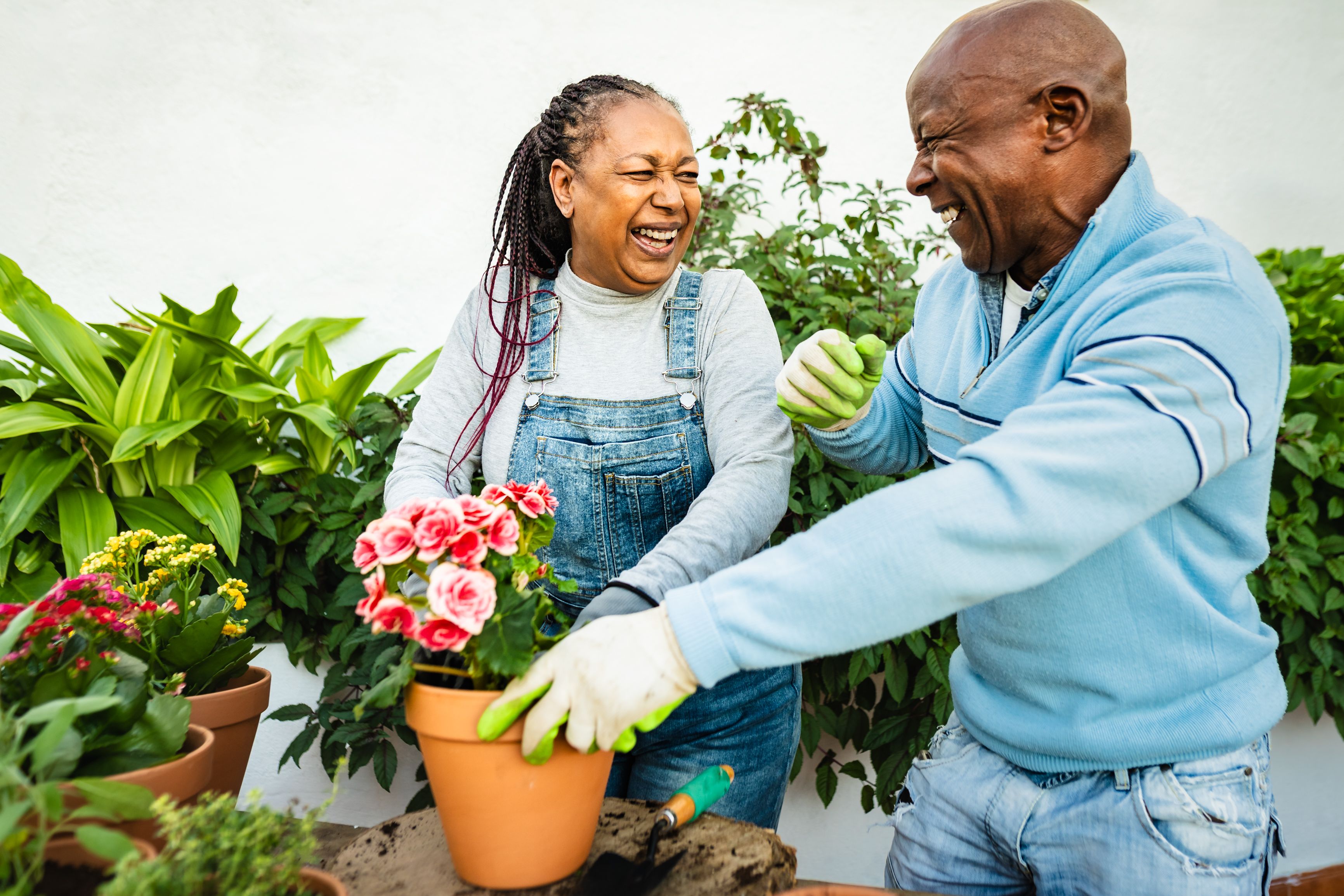 senior couple gardening