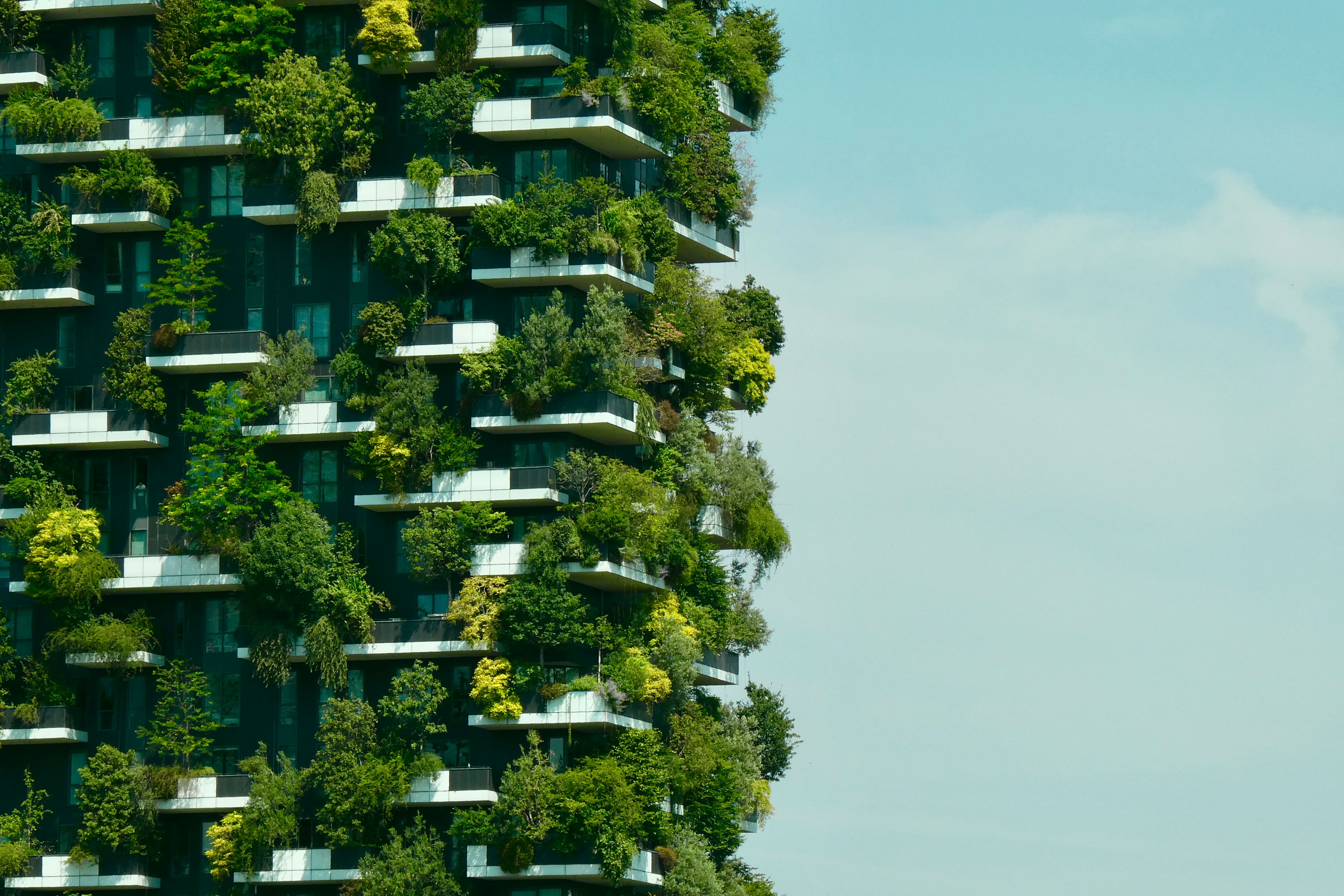 eco friendly materials