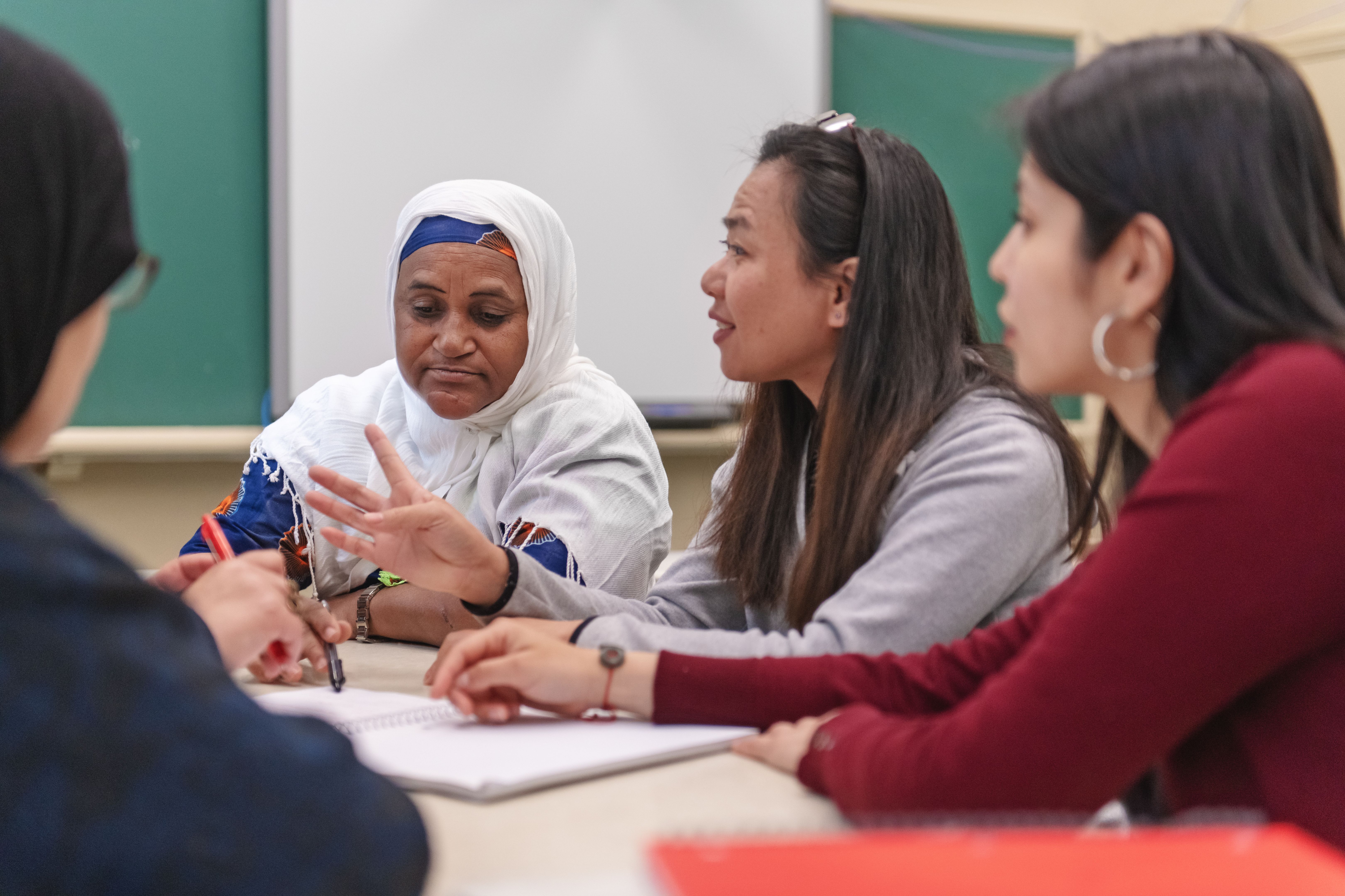 education immigrants