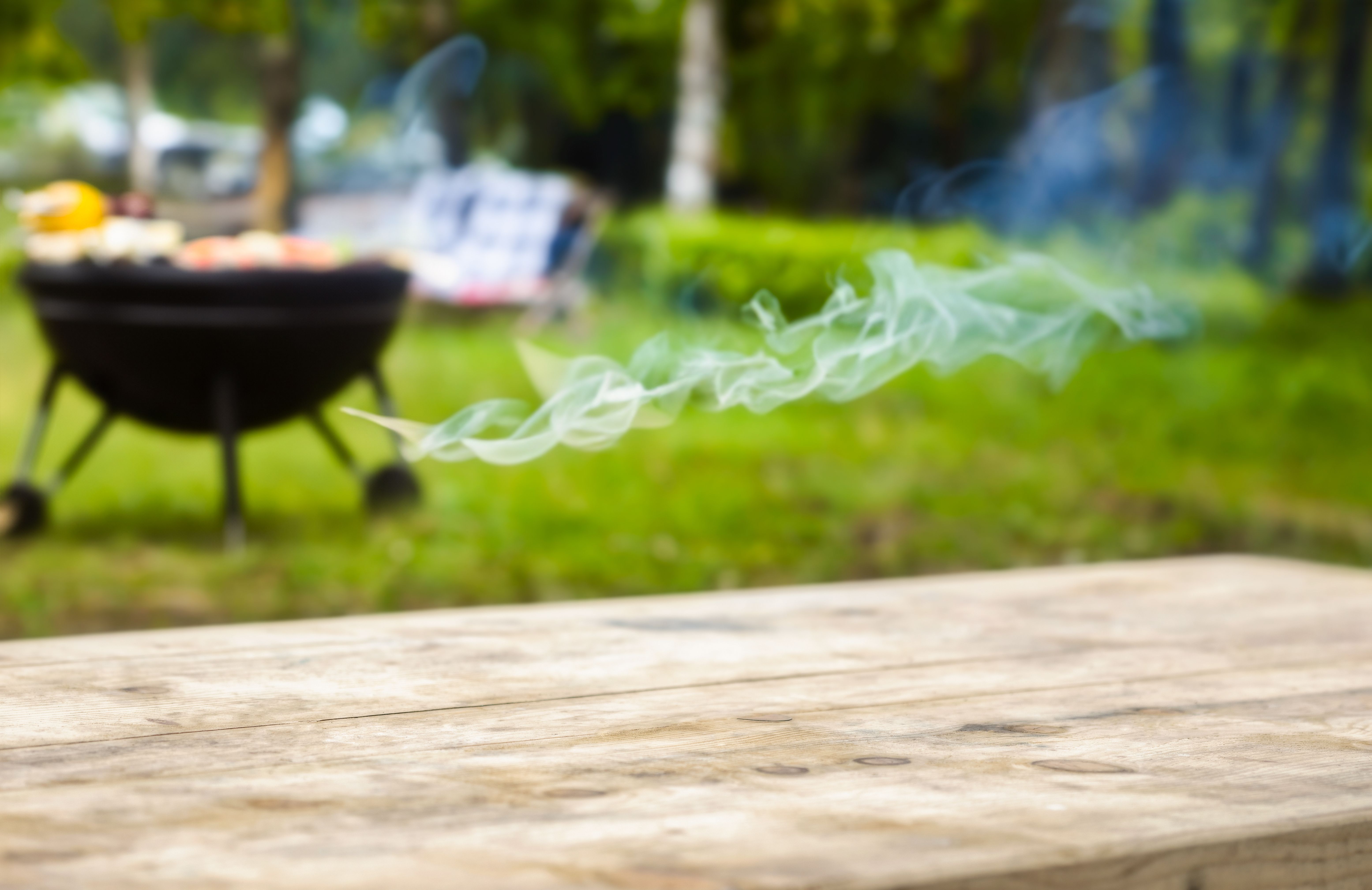 swiss summer barbecue